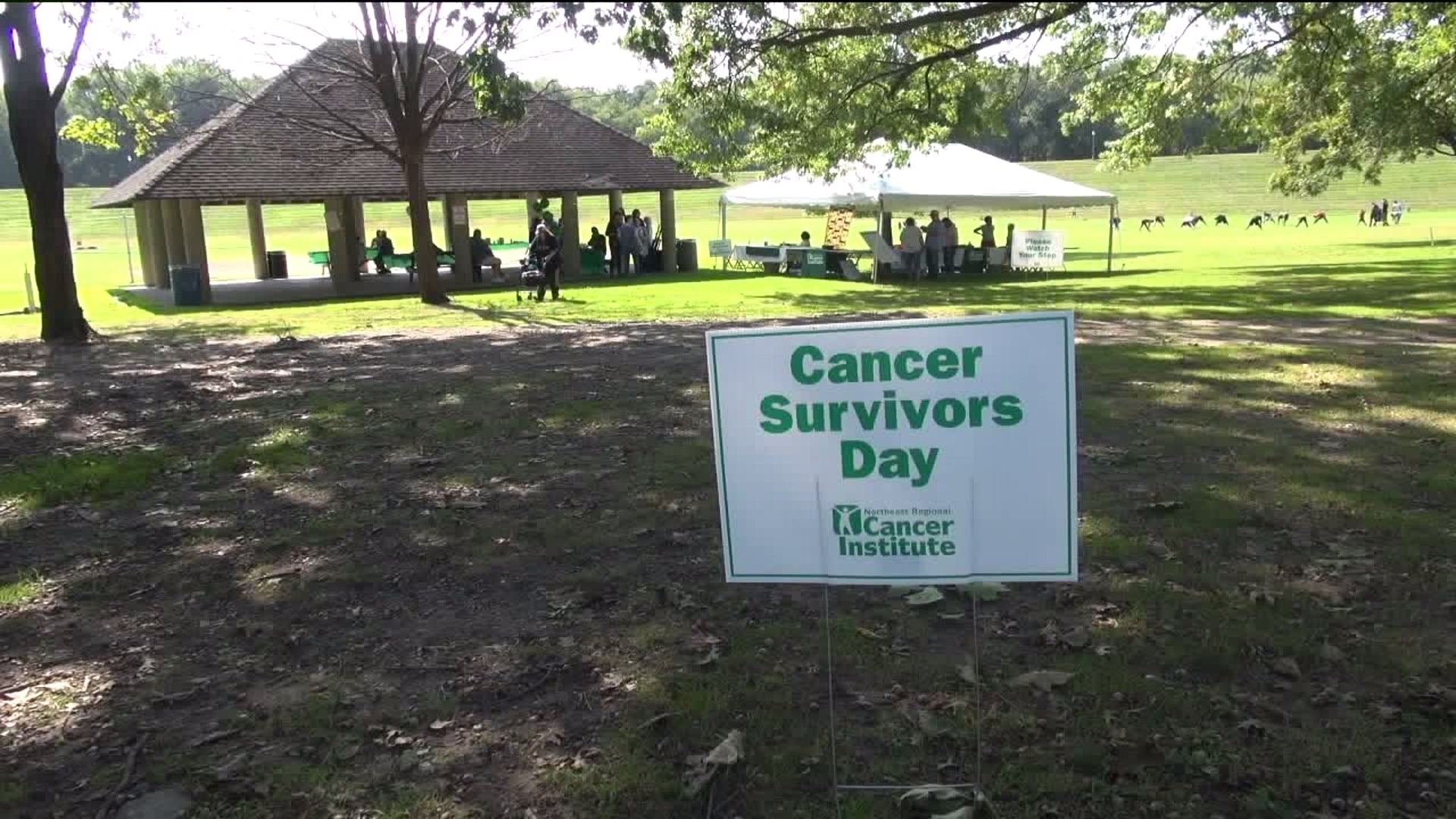 Cancer Survivors Celebrate Life