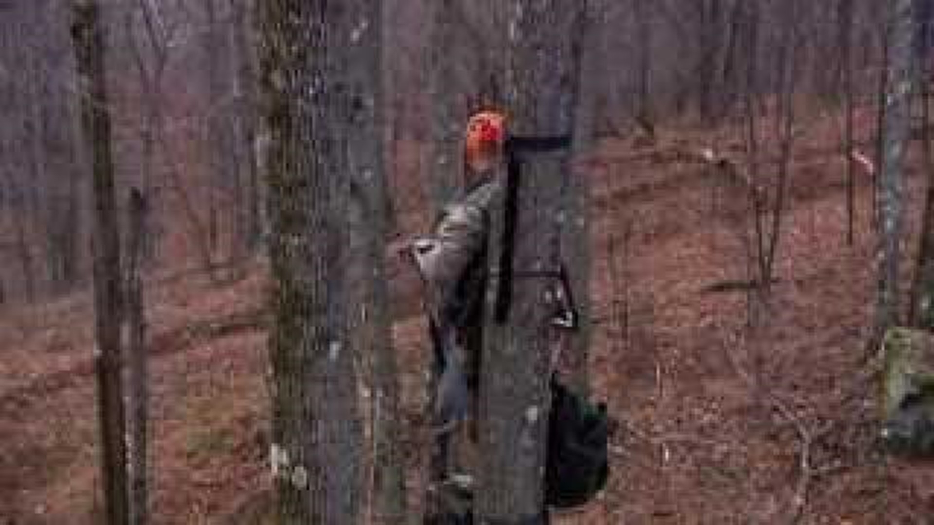 HW Hunting Safety