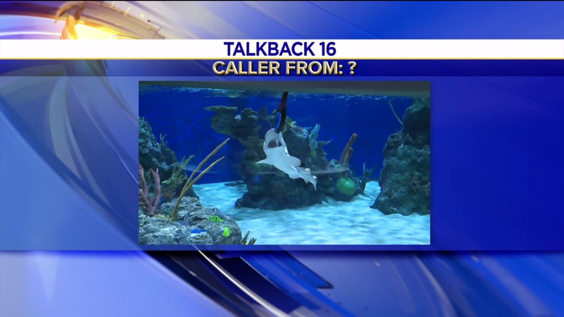 Talkback 16: Shawn Christy, Aquarium in Scranton