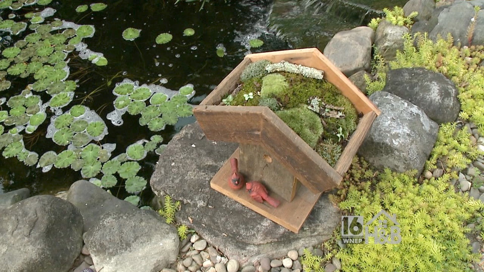 Birdhouse with Living Roof