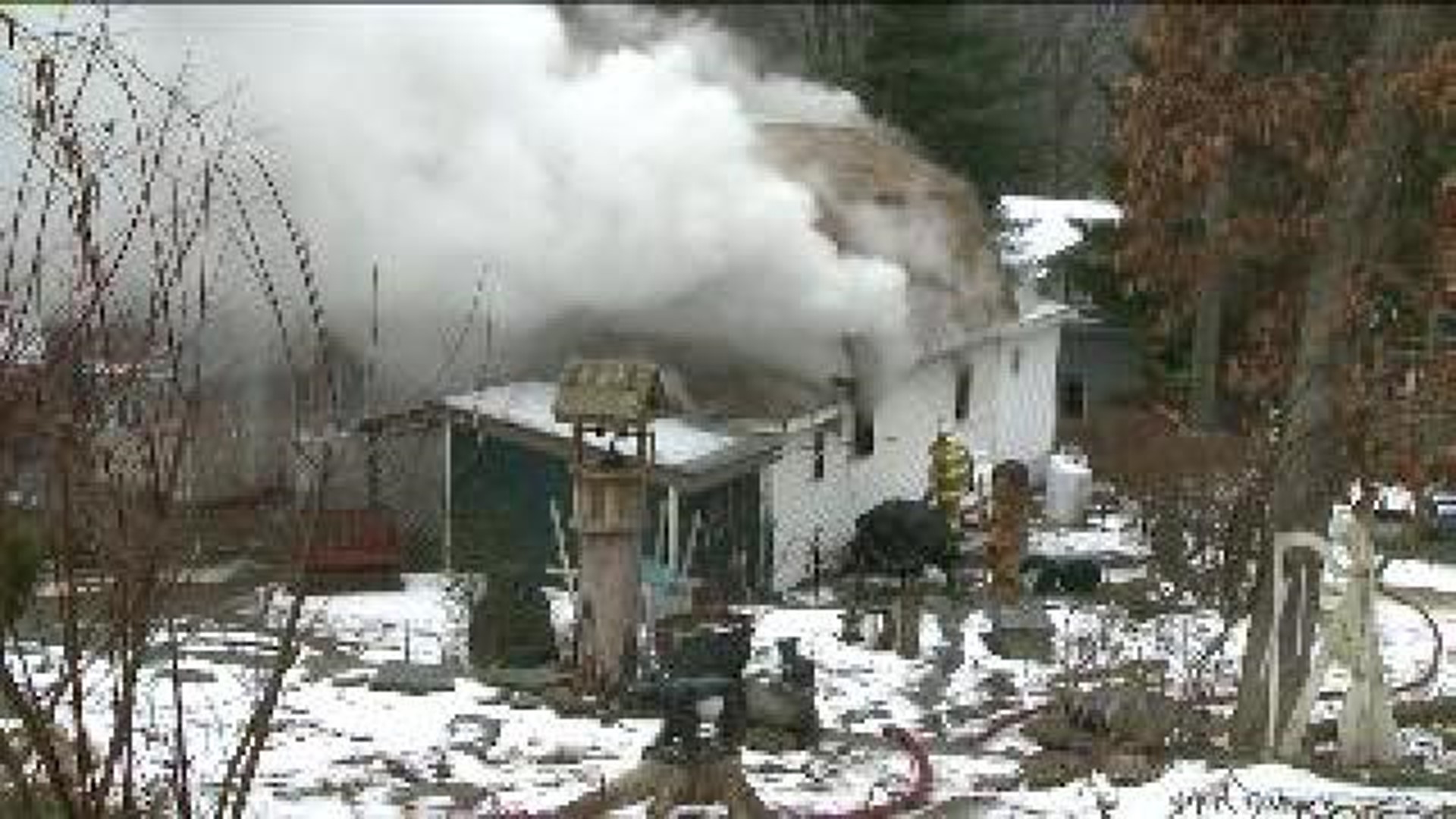 Four Pets Killed in Fire