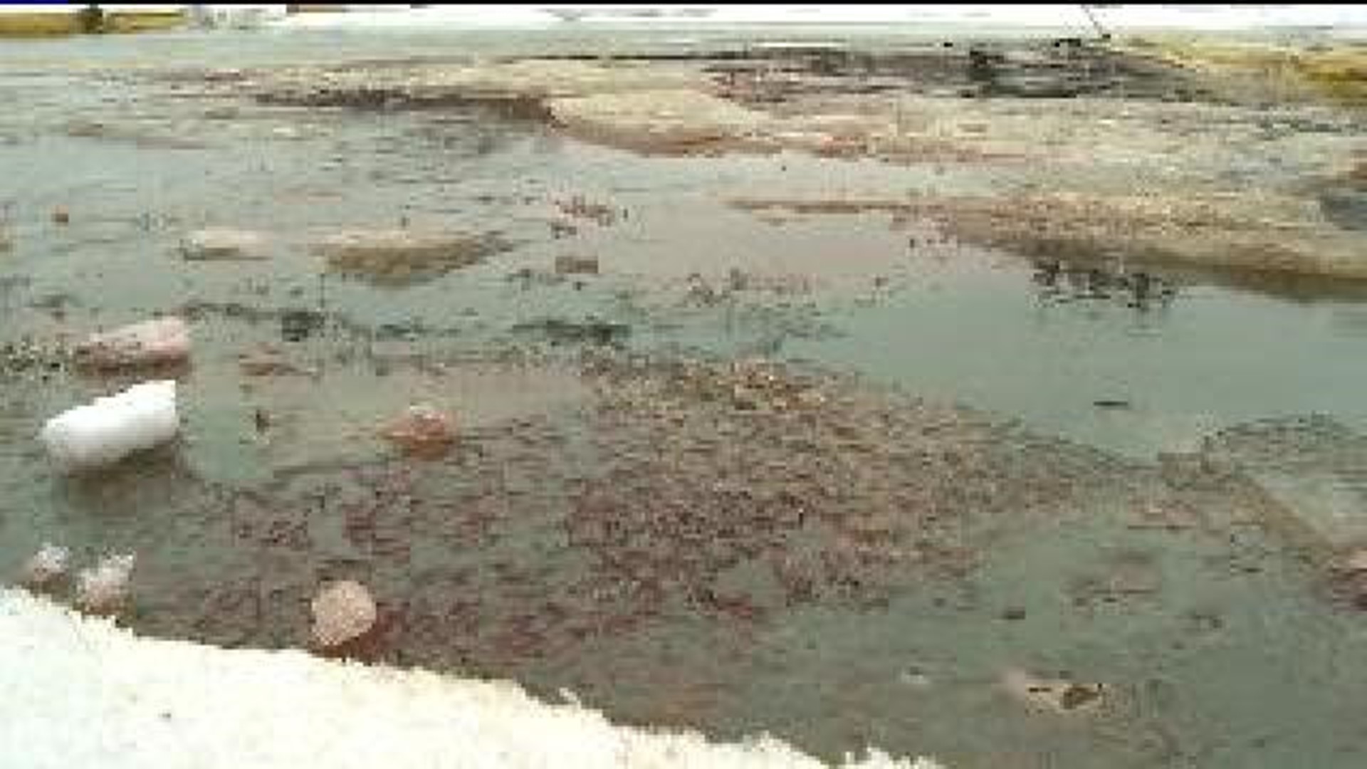 Violations Handed to Oil Company Responsible for Spill