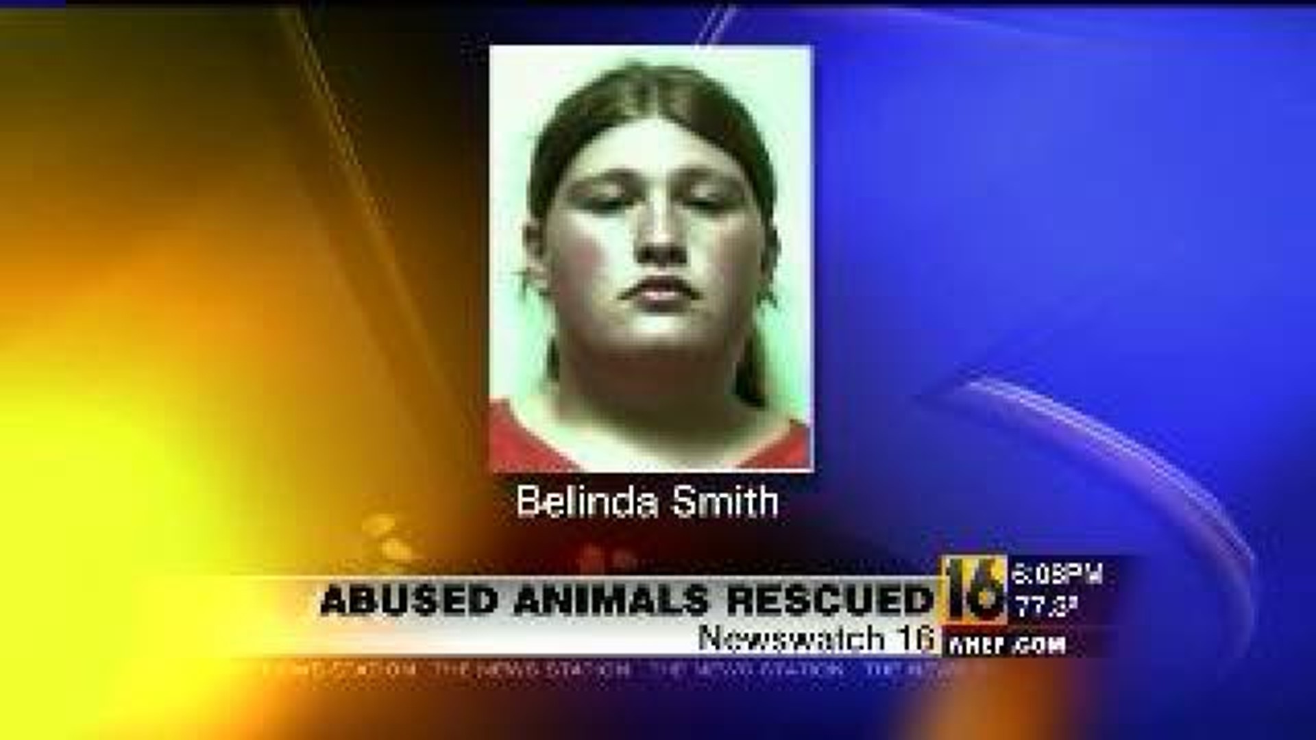 Abused Animals Rescued