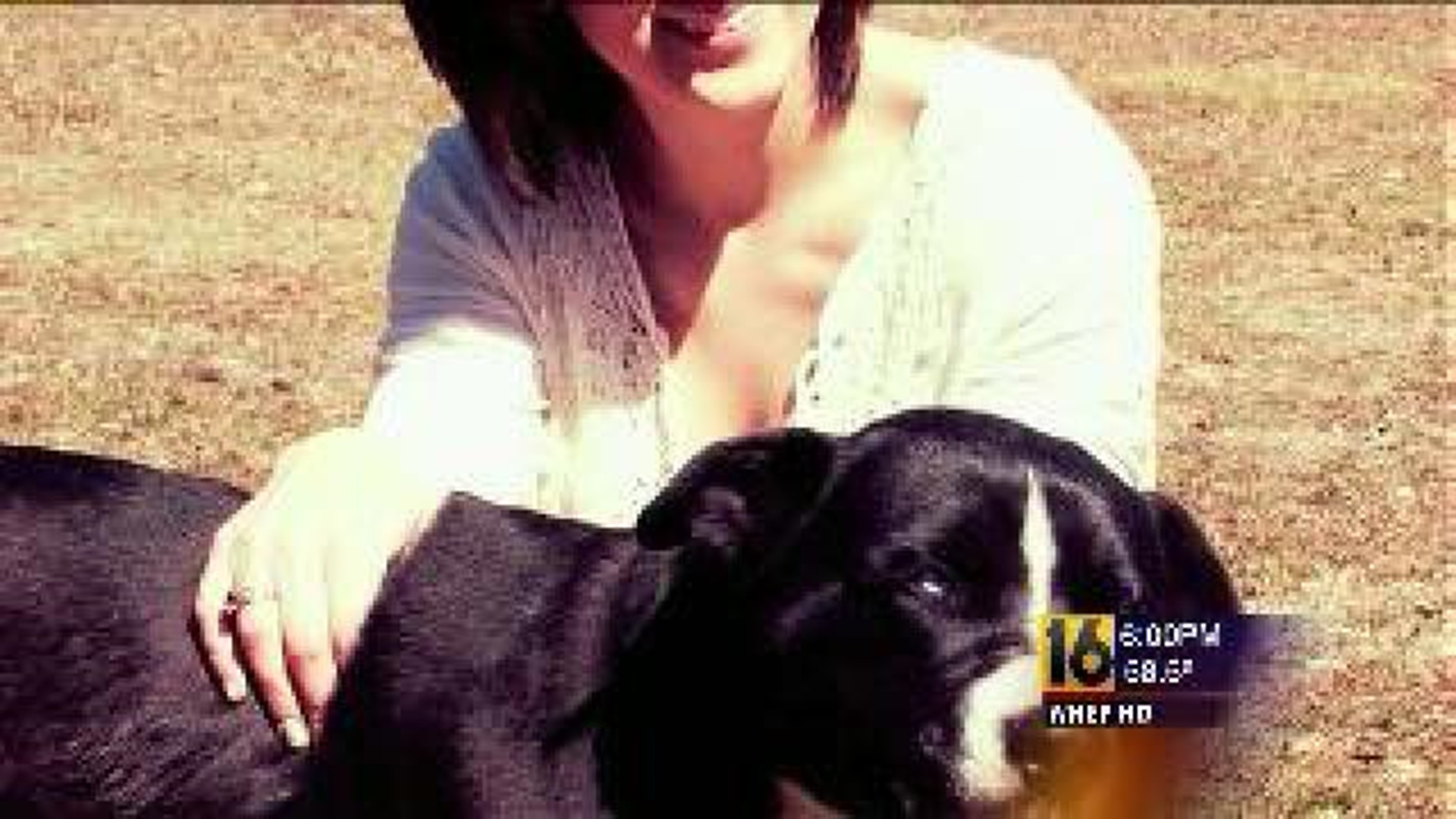 Man Faces No Charges for Shooting Dog