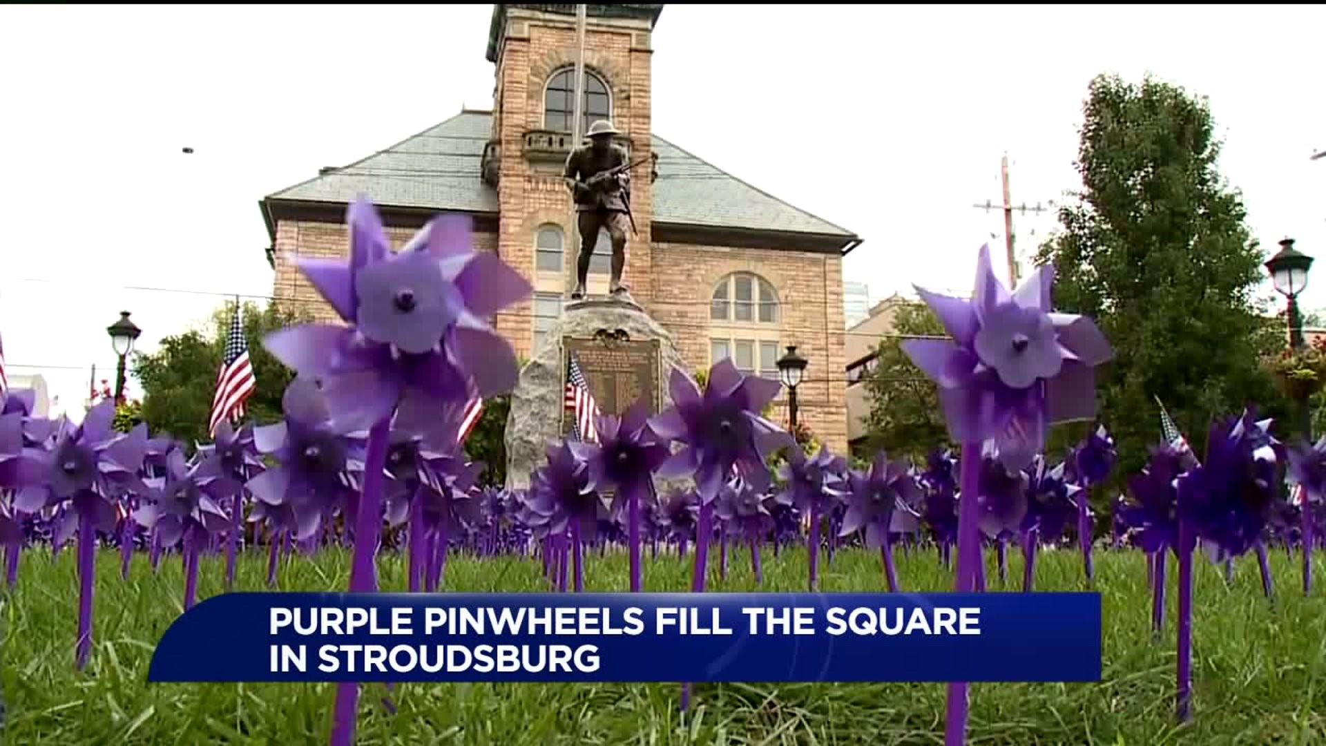 Purple Pinwheels Placed to Mark Domestic Violence Awareness