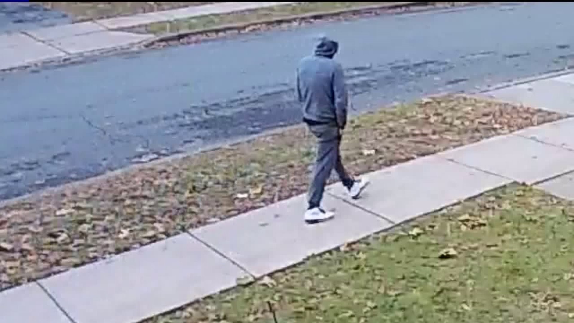 Grinch Stealing More Than Just Christmas in One South Wilkes-Barre Neighborhood