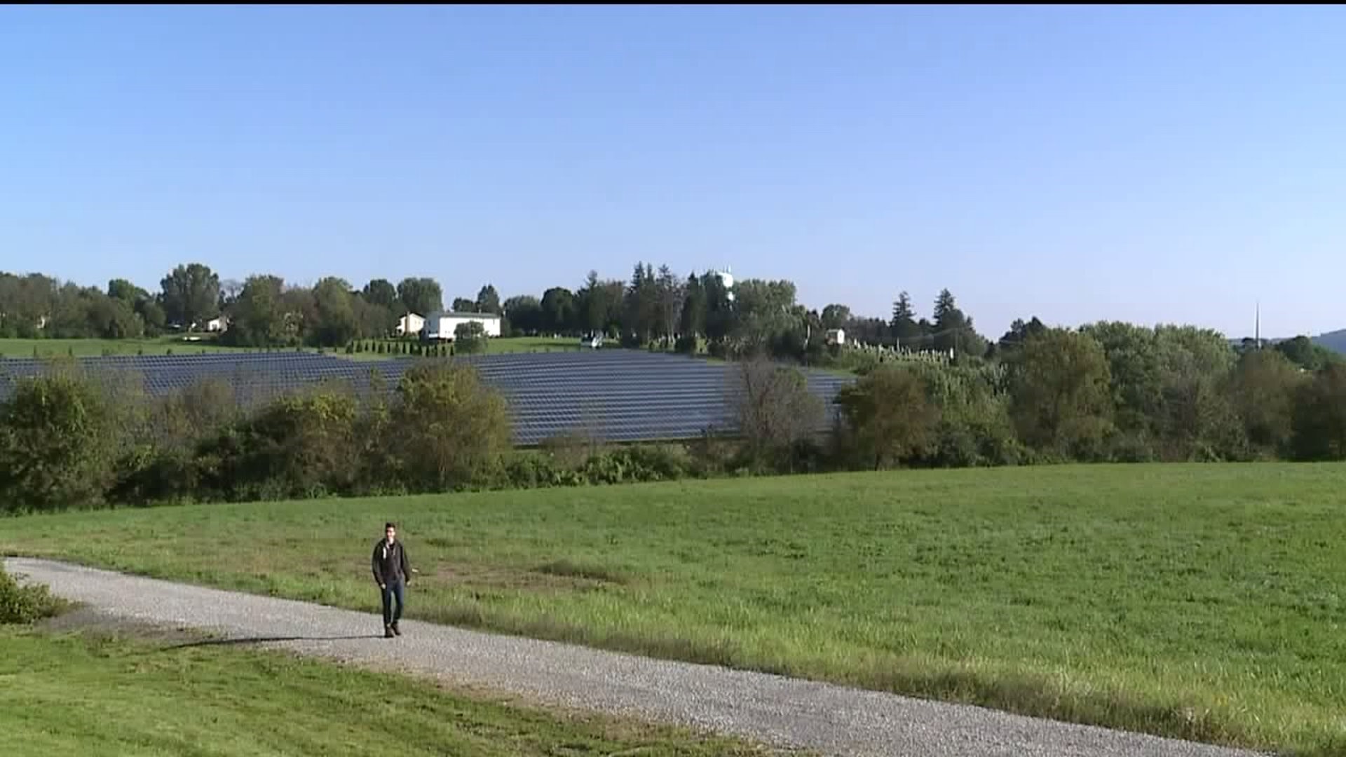 Sheep and Solar Panels Keeping Susquehanna University Green