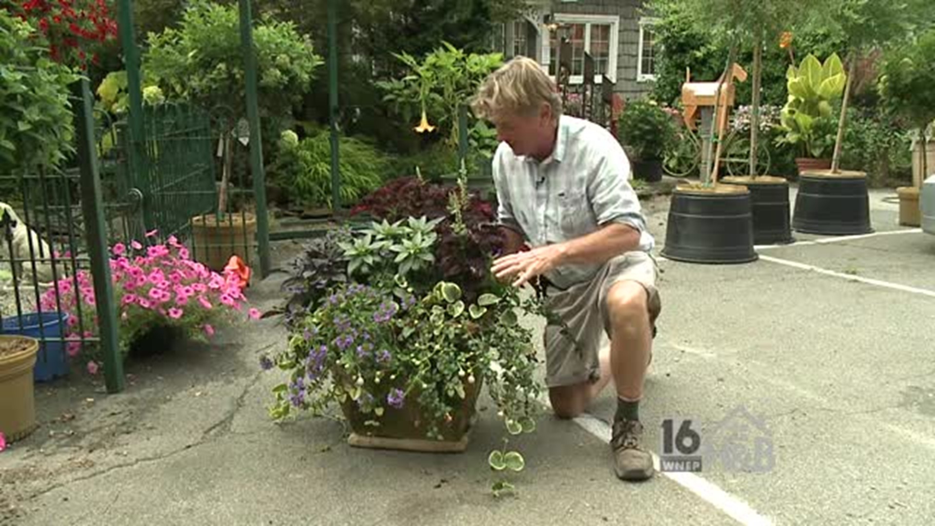Paul E. - Checking on Summer Planters