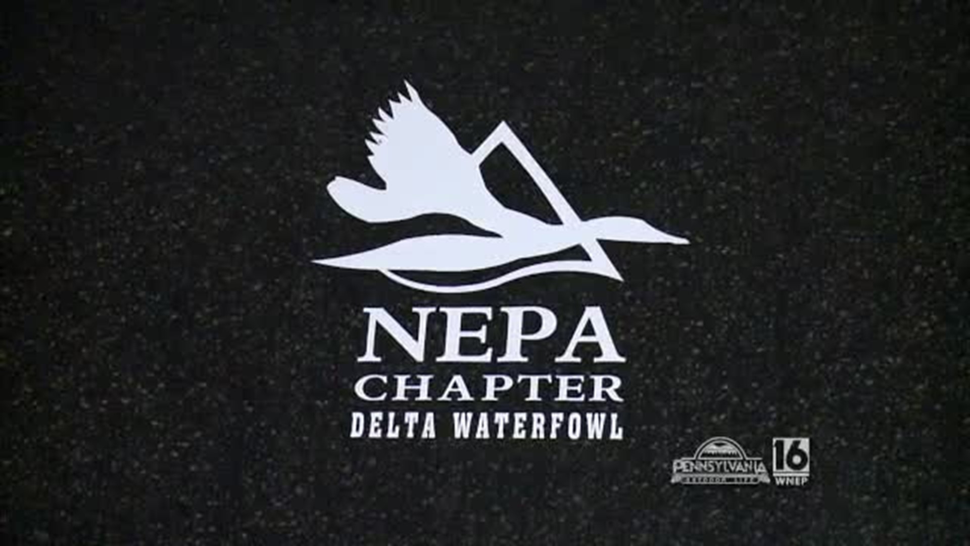 NEPA Delta Waterfowl Youth Waterfowl Hunt