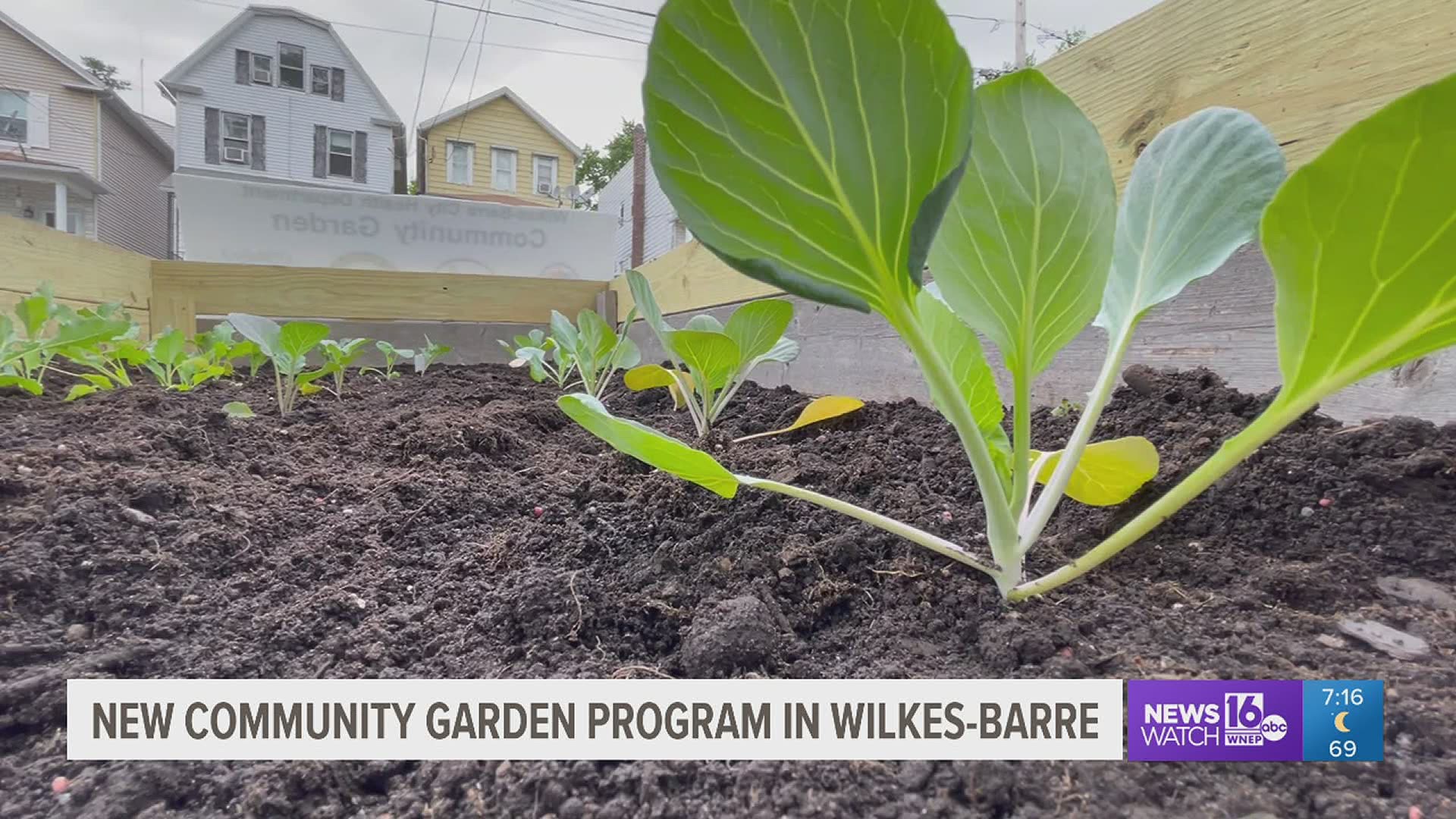 New community gardens are being set up in the city with help from the Wilkes-Barre Health Department to supply food pantries and other agencies with fresh produce.