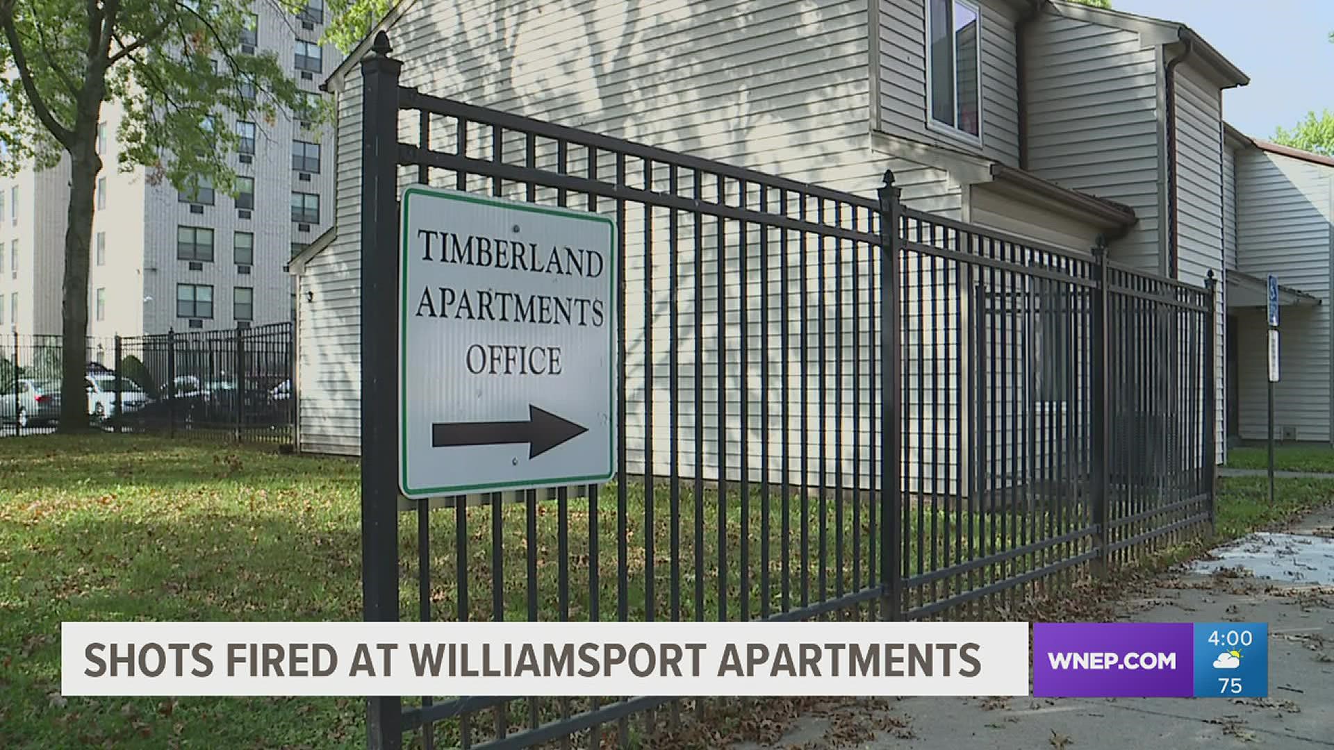Five shots hit the number five building at the Timberland Apartment Complex on West Edwin Street.