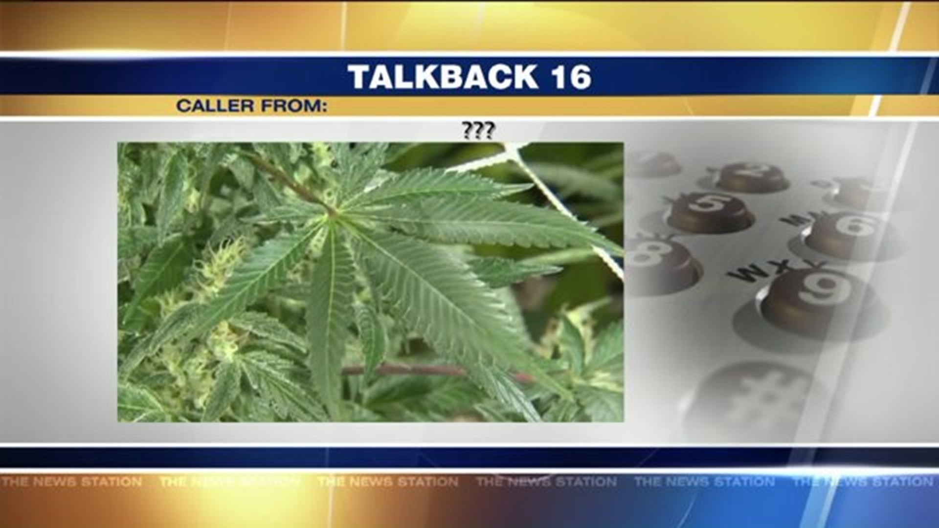 Talkback: Marijuana, Bank Robberies and the Backyard