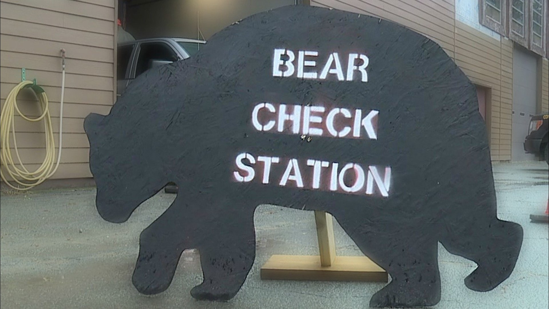 Hunters Bag more than 650 Bears on First Day | wnep.com