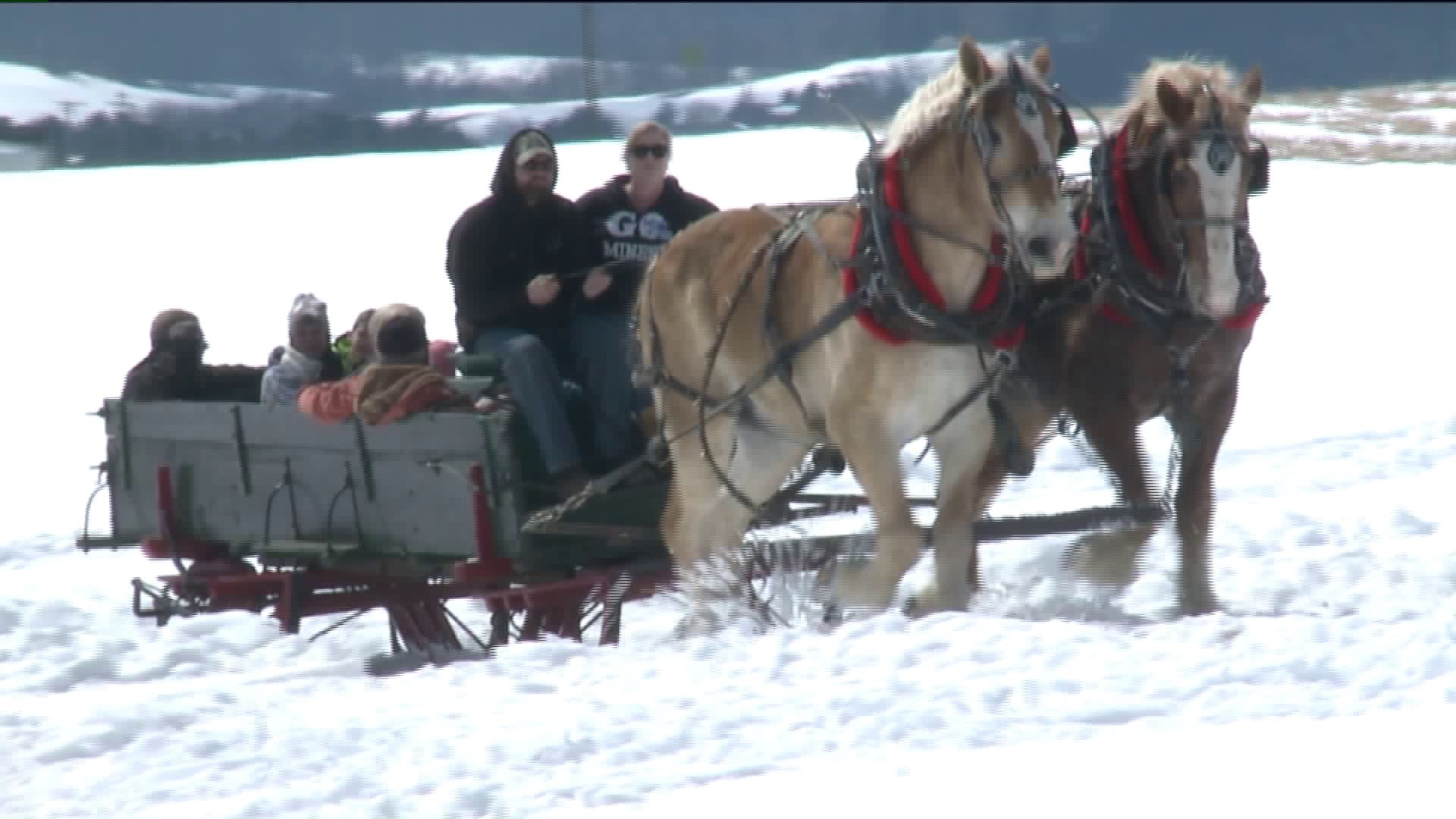 Saying Goodbye to Winter with Old-Fashioned Sleigh Rides