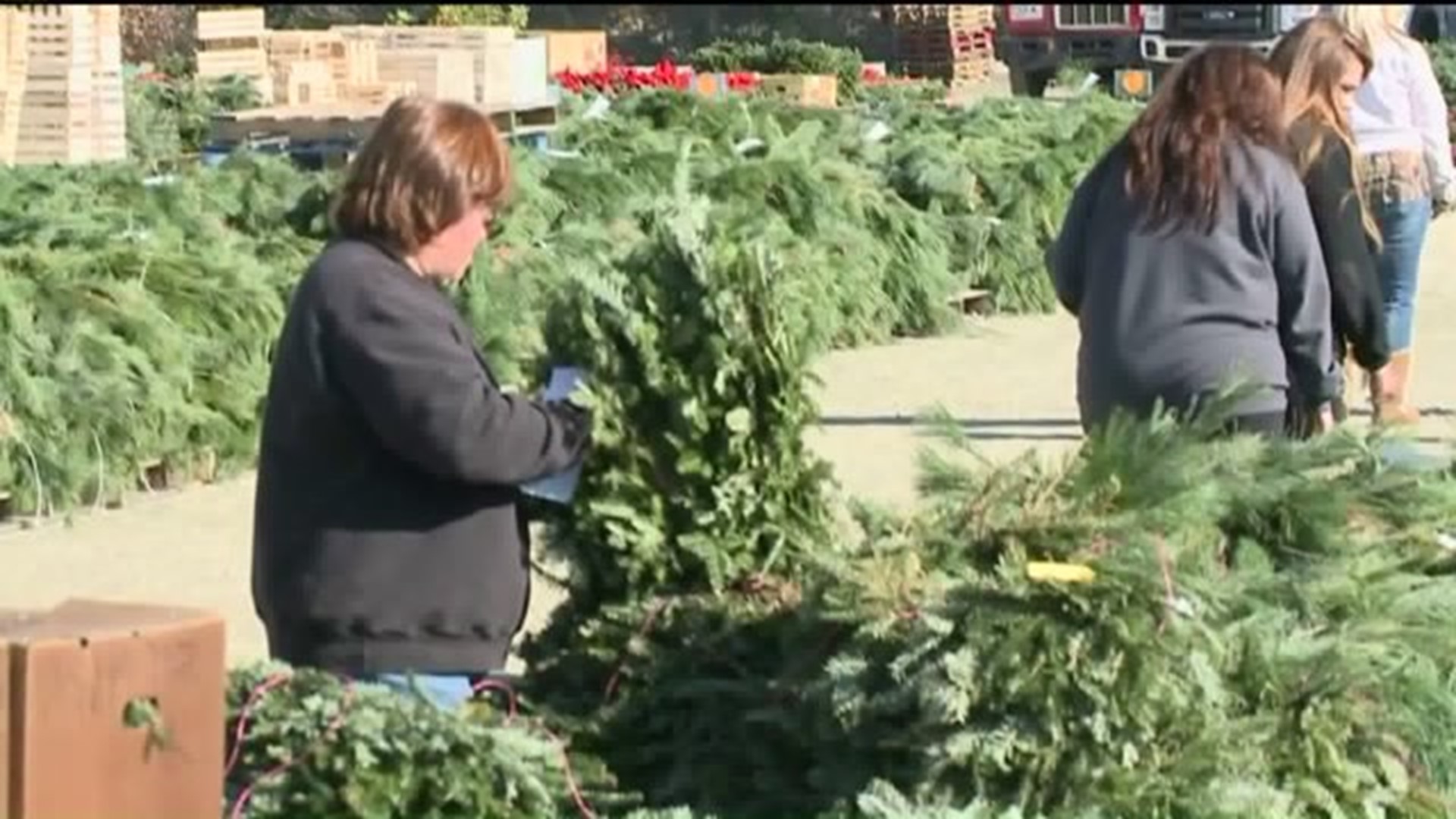 Christmas Wreath Auction Held Near Mifflinburg