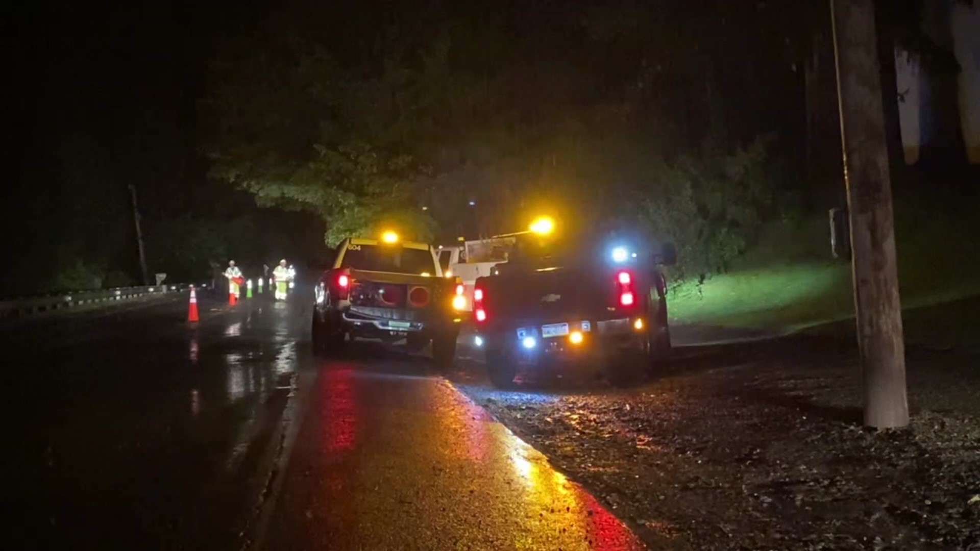 Numerous trees were knocked down by the storm.