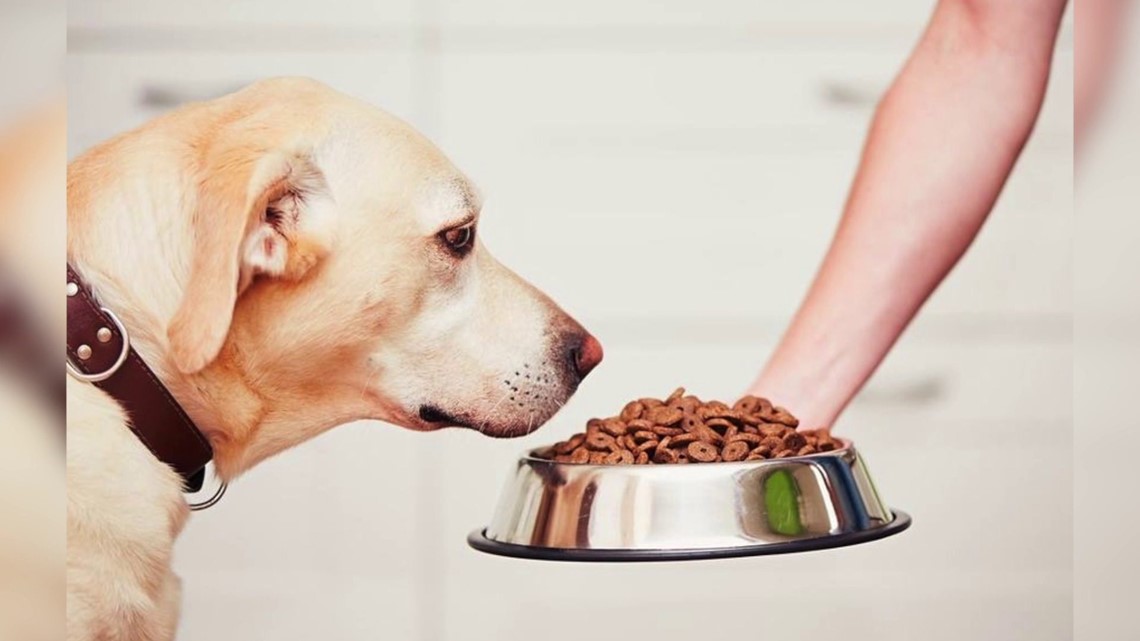 is gravy train dry dog food recall