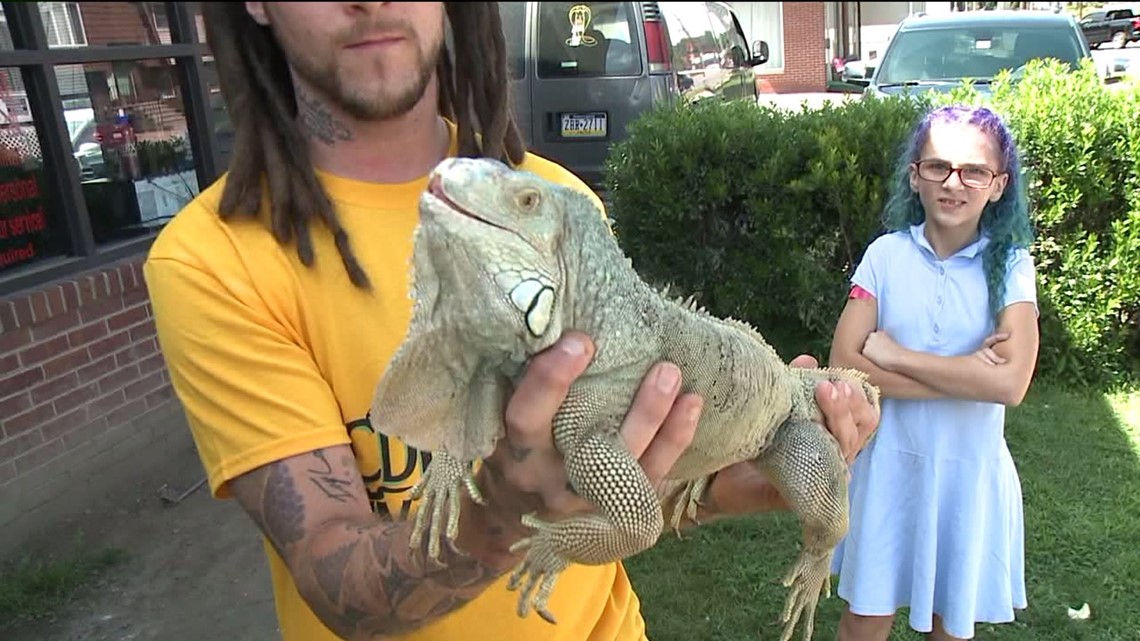 Renegade Reptile Rescue | wnep.com