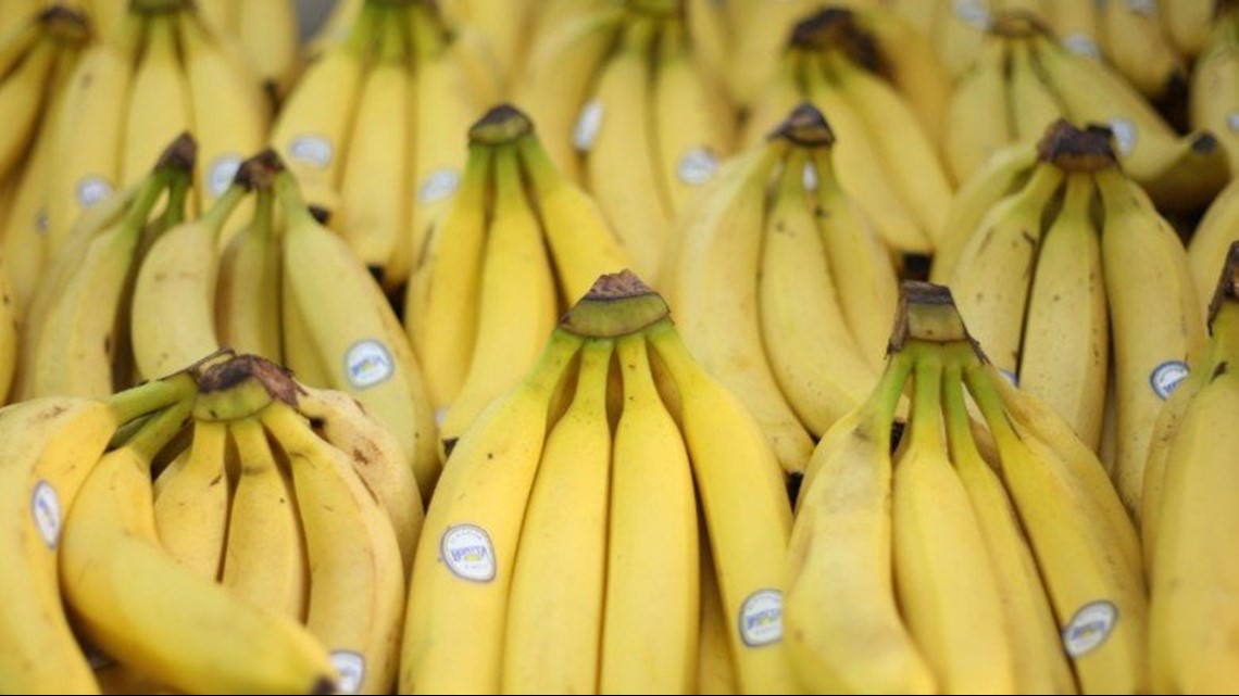 Are Bananas Going Extinct… Again?