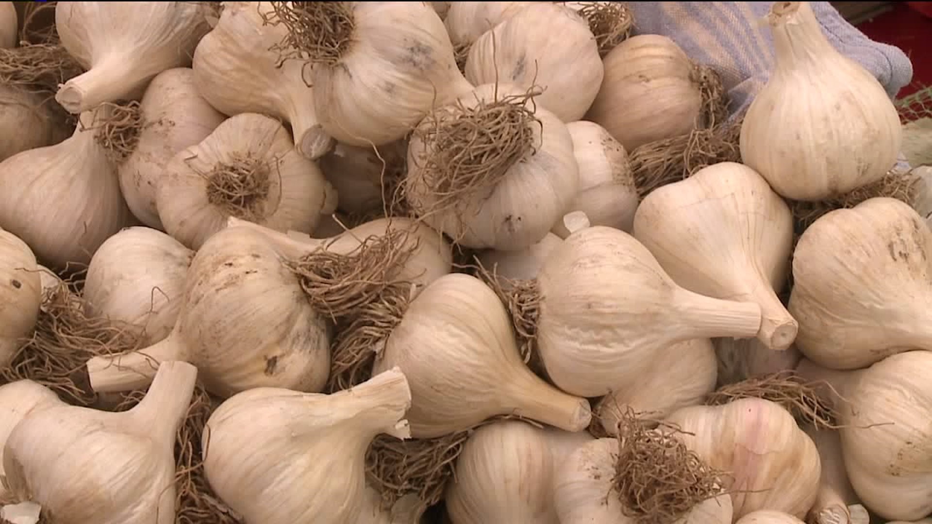 Garlic Festival in the Poconos