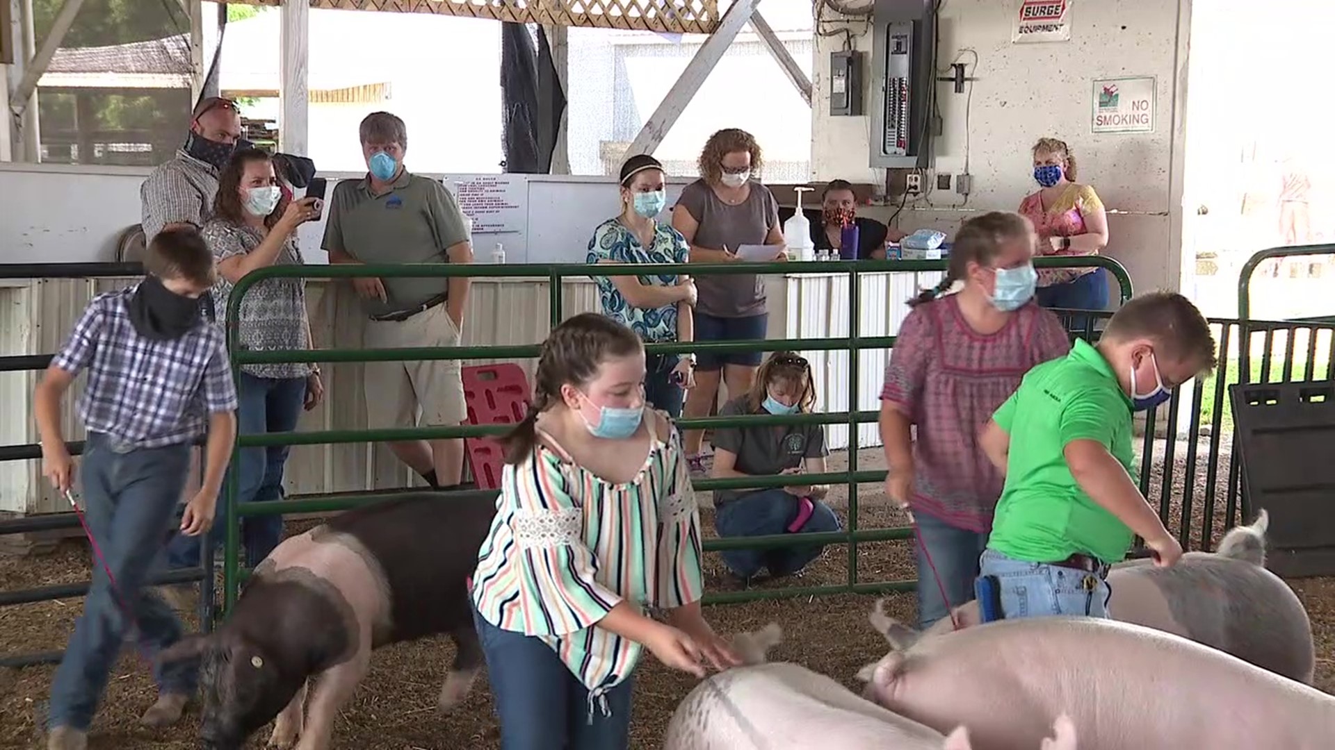 Kids prepare their animals for people to bid and buy starting Saturday.