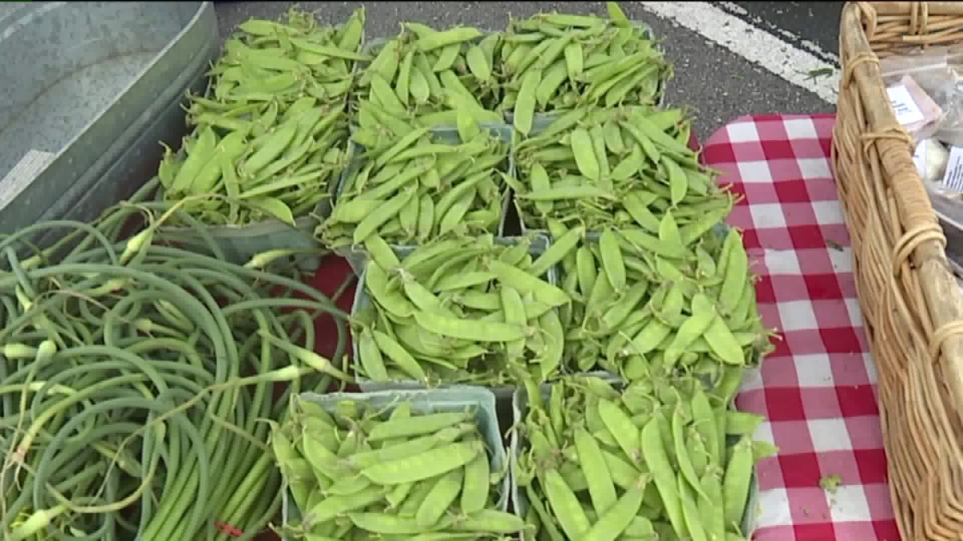 Farmers Market Comes to Lehighton