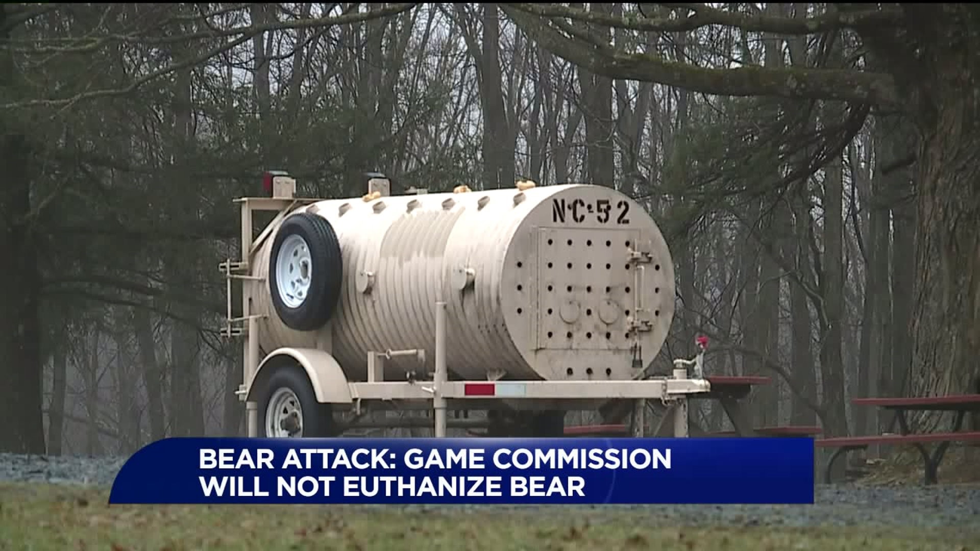 Game Commission Will Not Euthanize Bear in Lycoming County Attack