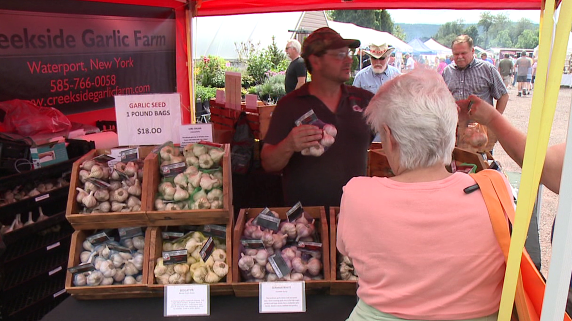 Garlic Festival returns in Luzerne County