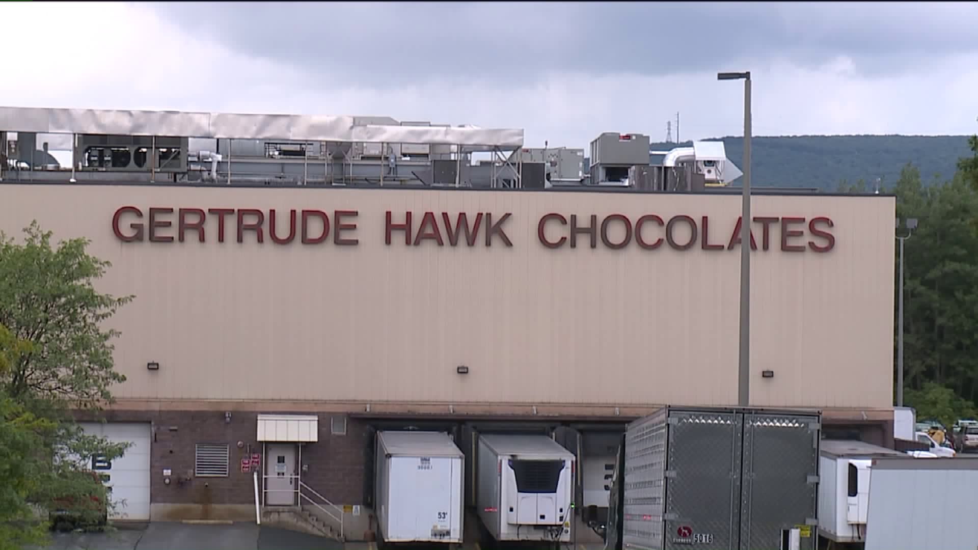 Part of Gertrude Hawk to be Sold to Swiss Chocolate Company