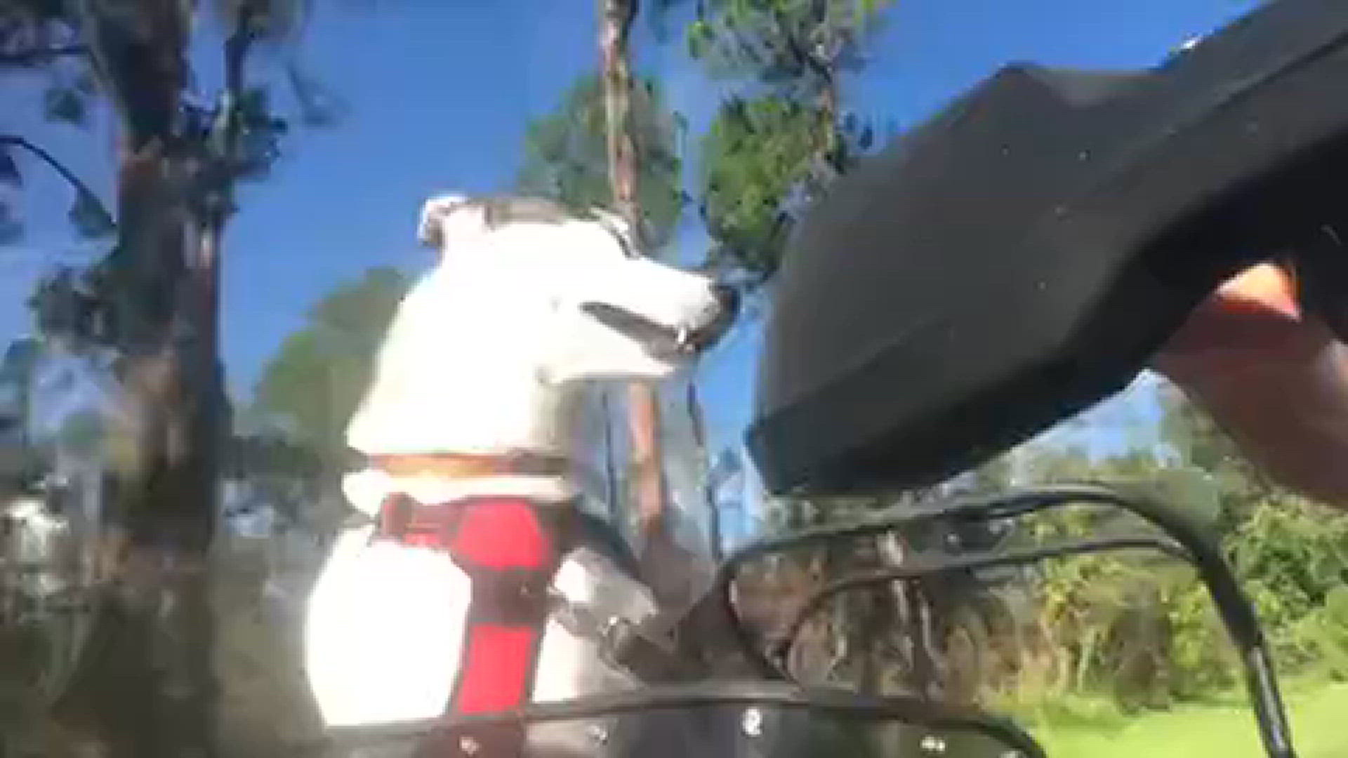 My husky and best friend Sasha out for a motorcycle ride.
Credit: Joe Belmont