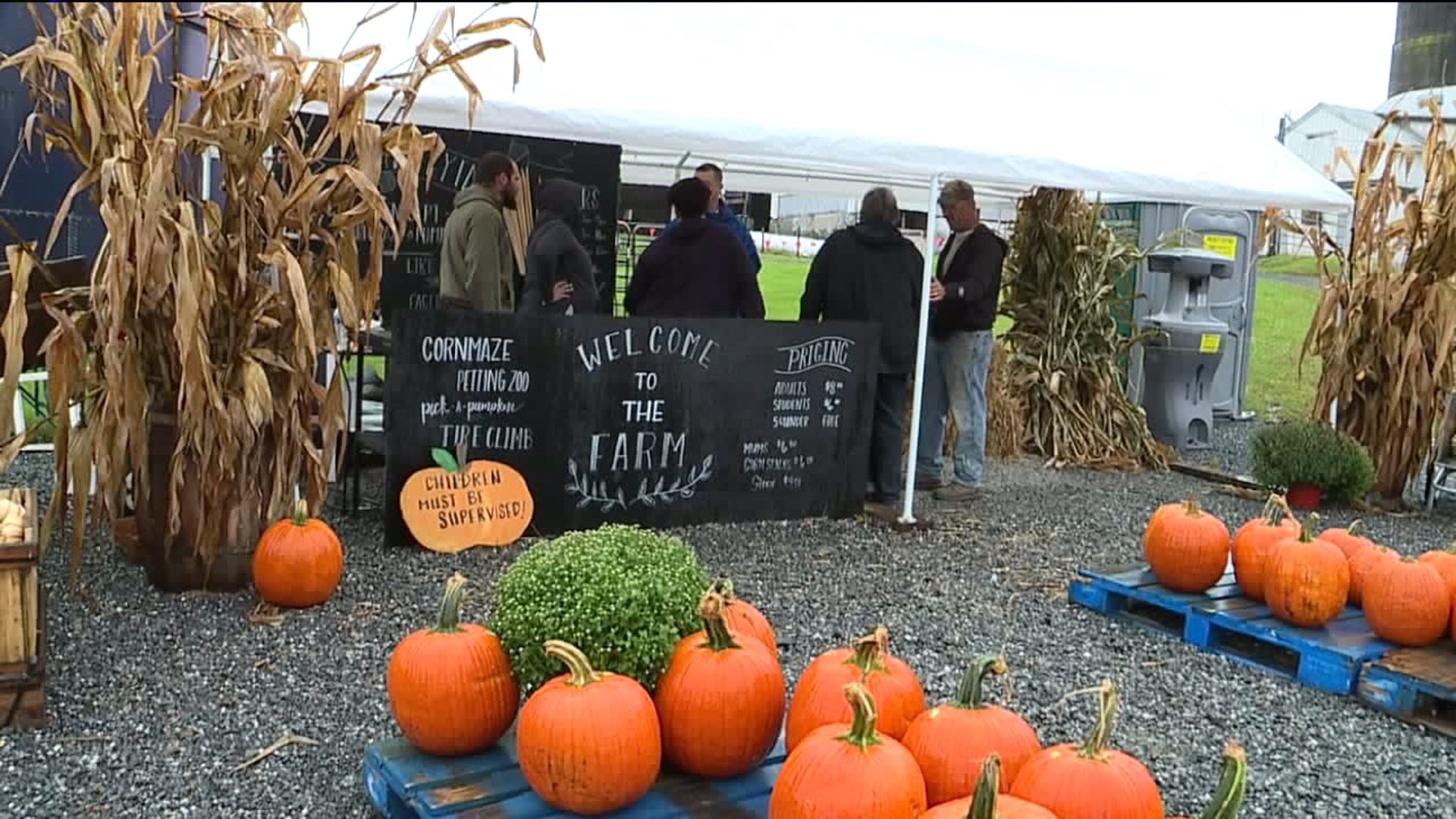 Valley Farms Near Tamaqua Offering Fall Attractions