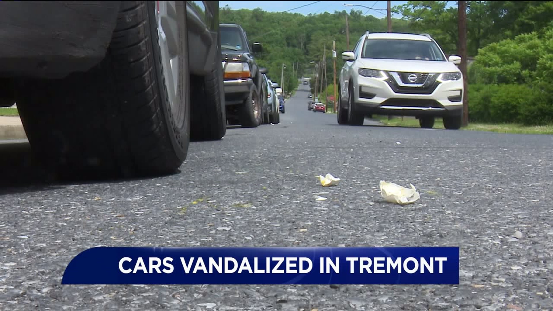 Vandals Egg 20 Cars in Tremont