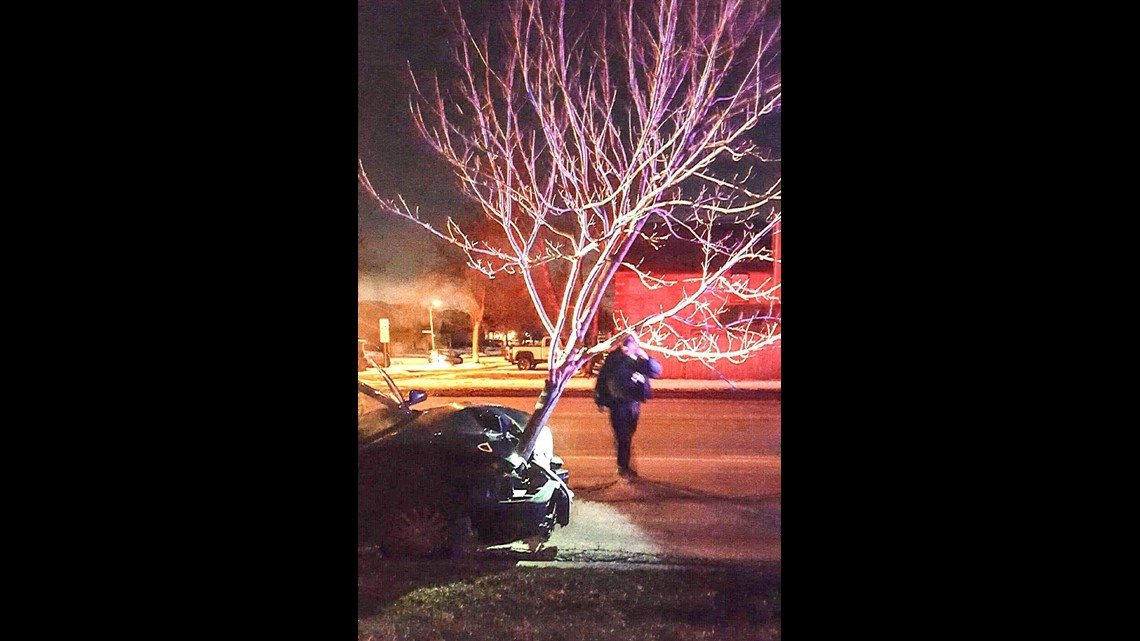 Woman Arrested for DUI After Driving With 15-Foot Tree Stuck in Grille ...
