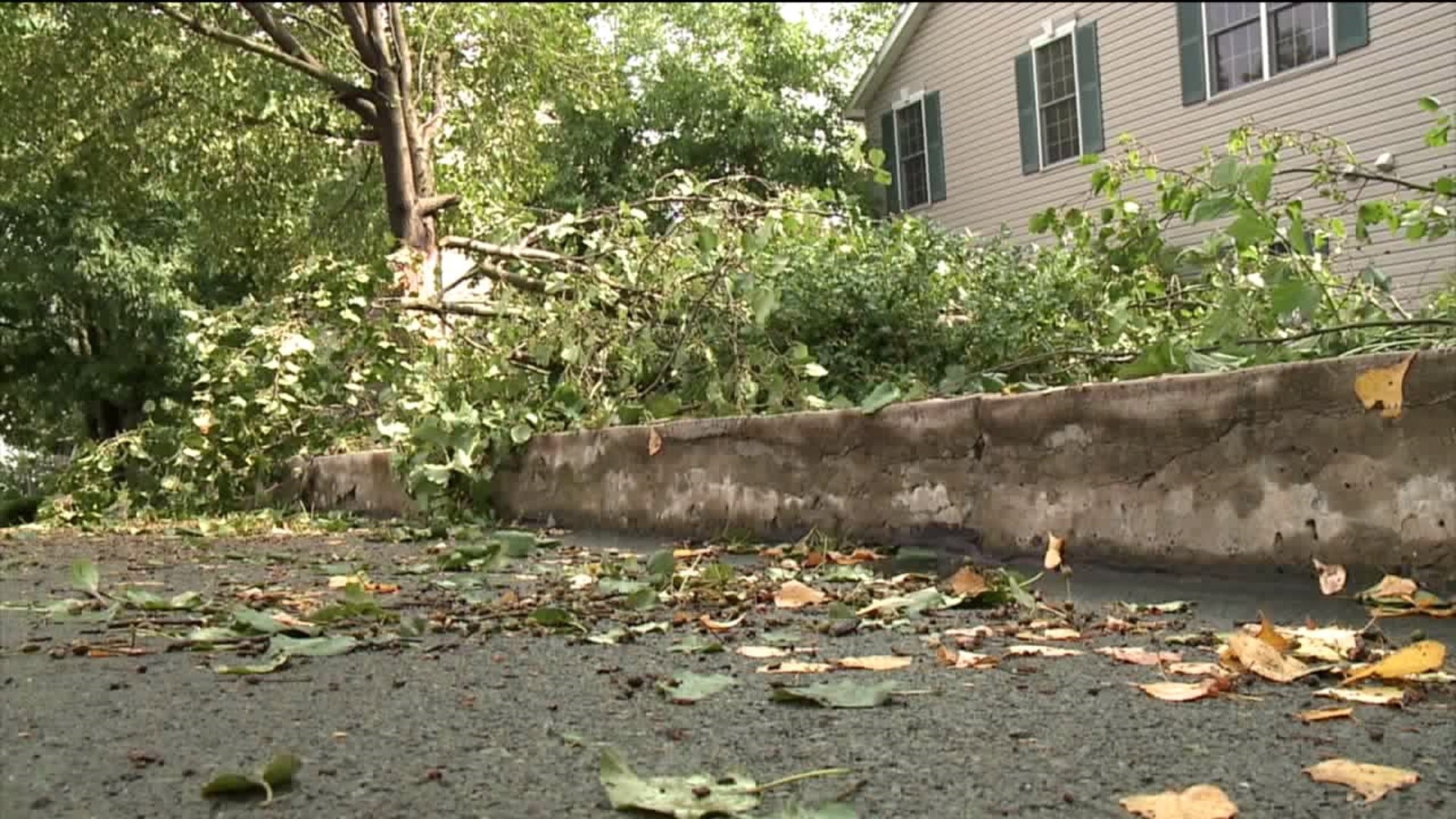 Storm Damage in Plains Township