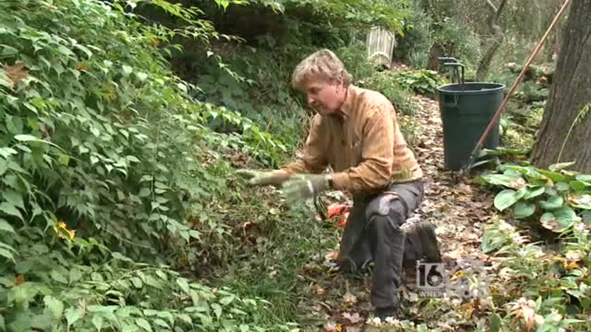 Getting your Fall garden ready for Spring