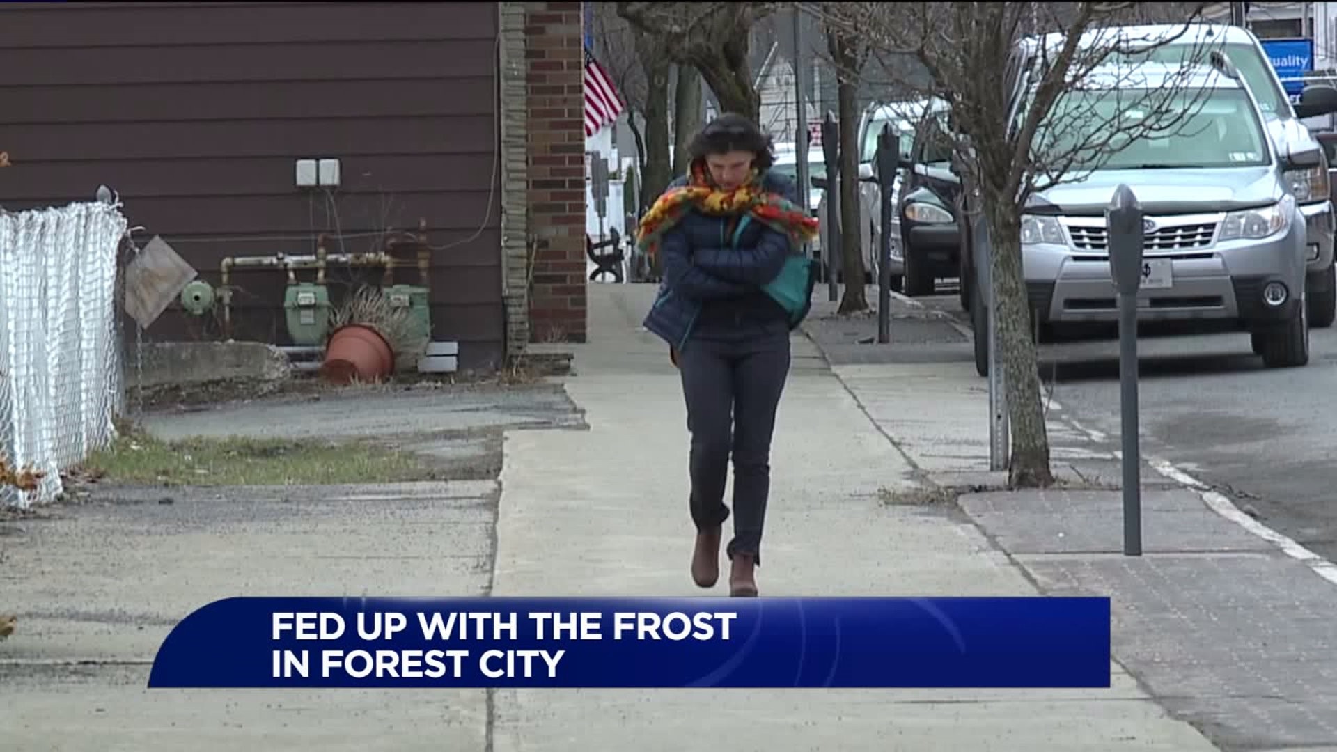 Fed Up with the Frost in Forest City