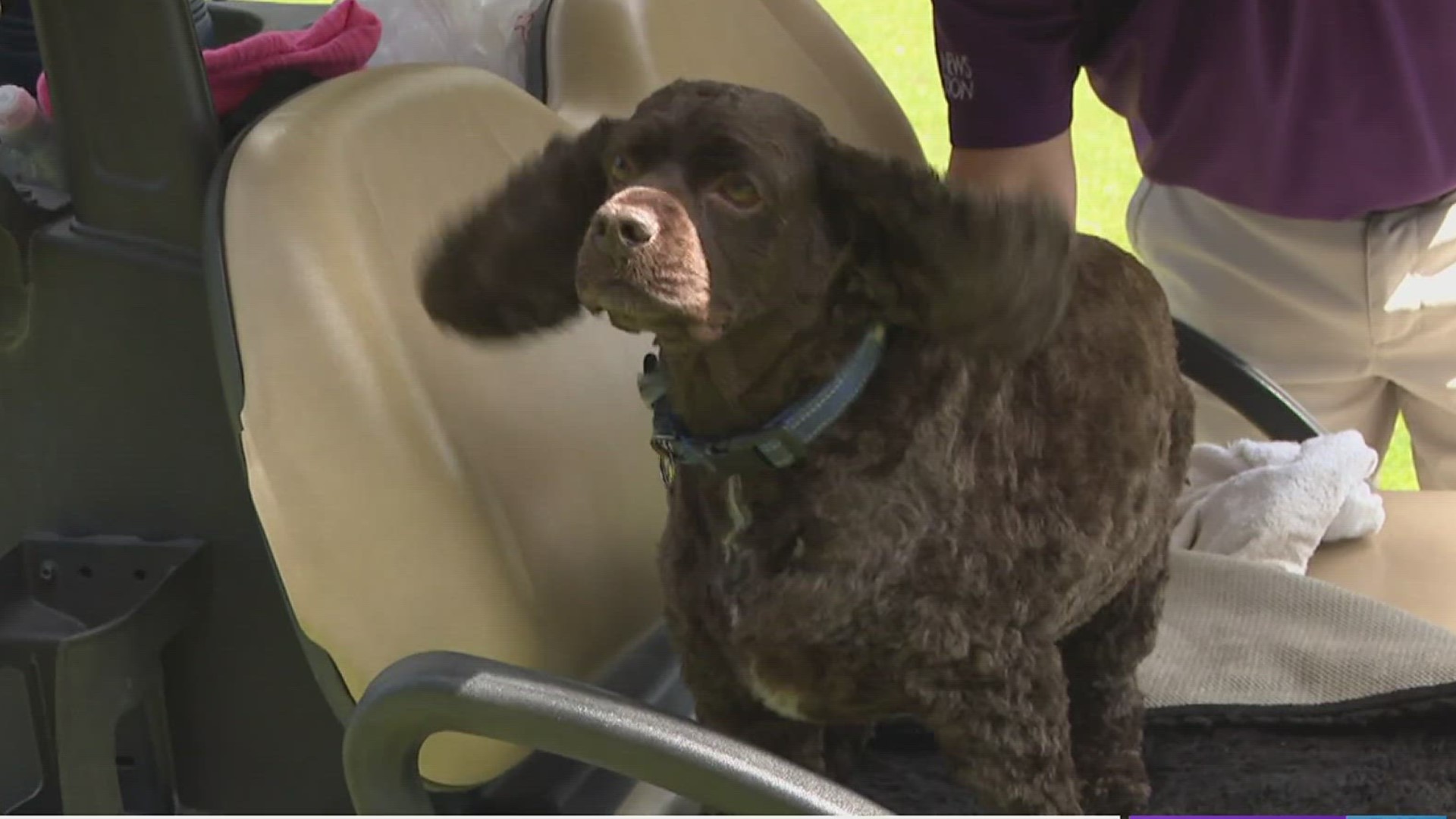 The golf tournament raises money for the Leukemia and Lymphoma Society