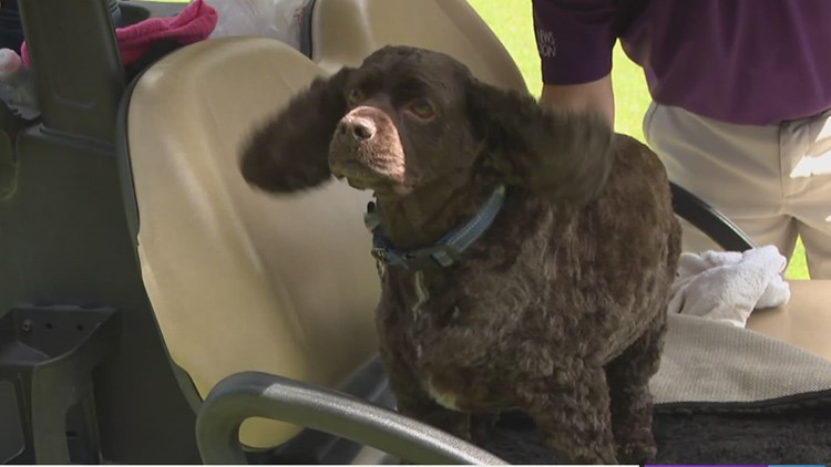 6th Annual Tammy's Memorial Golf Classic held in Wyoming County