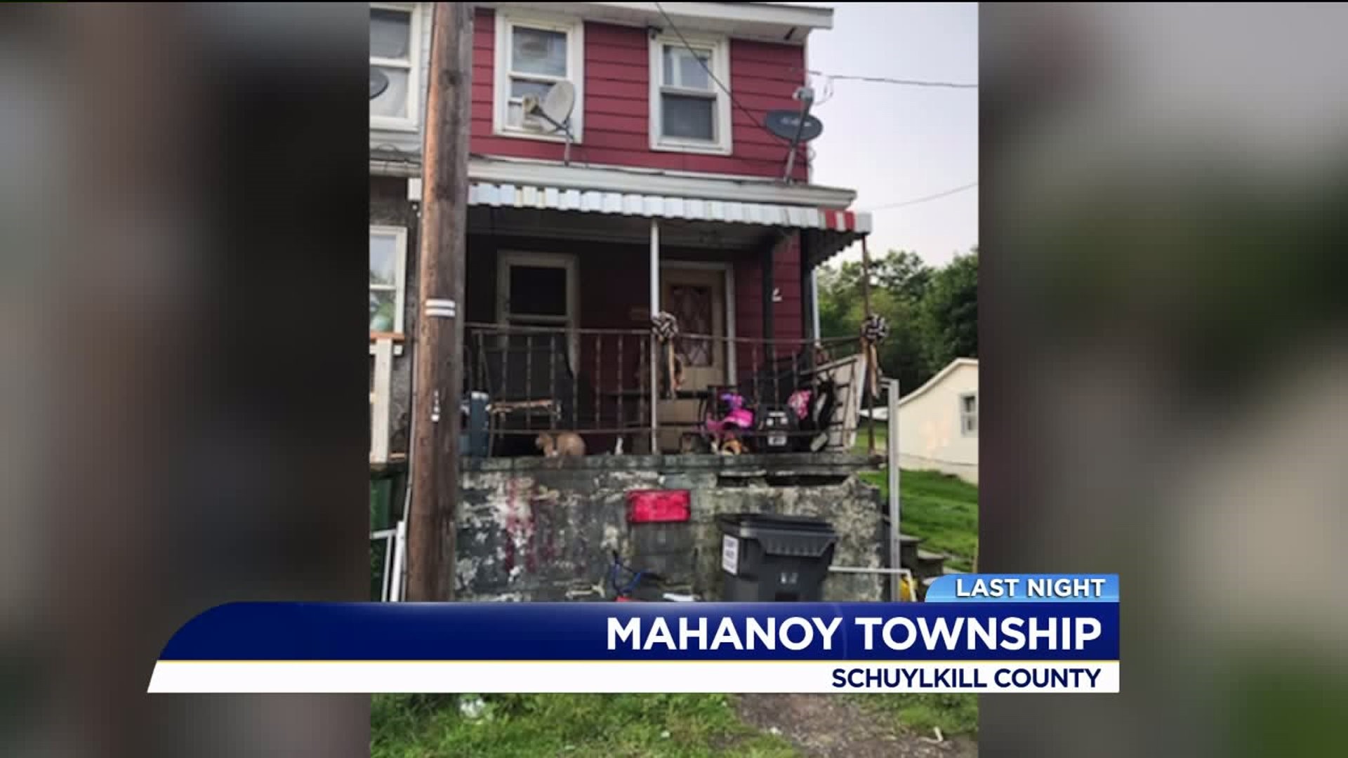 More than 20 Animals Removed from Schuylkill County Home