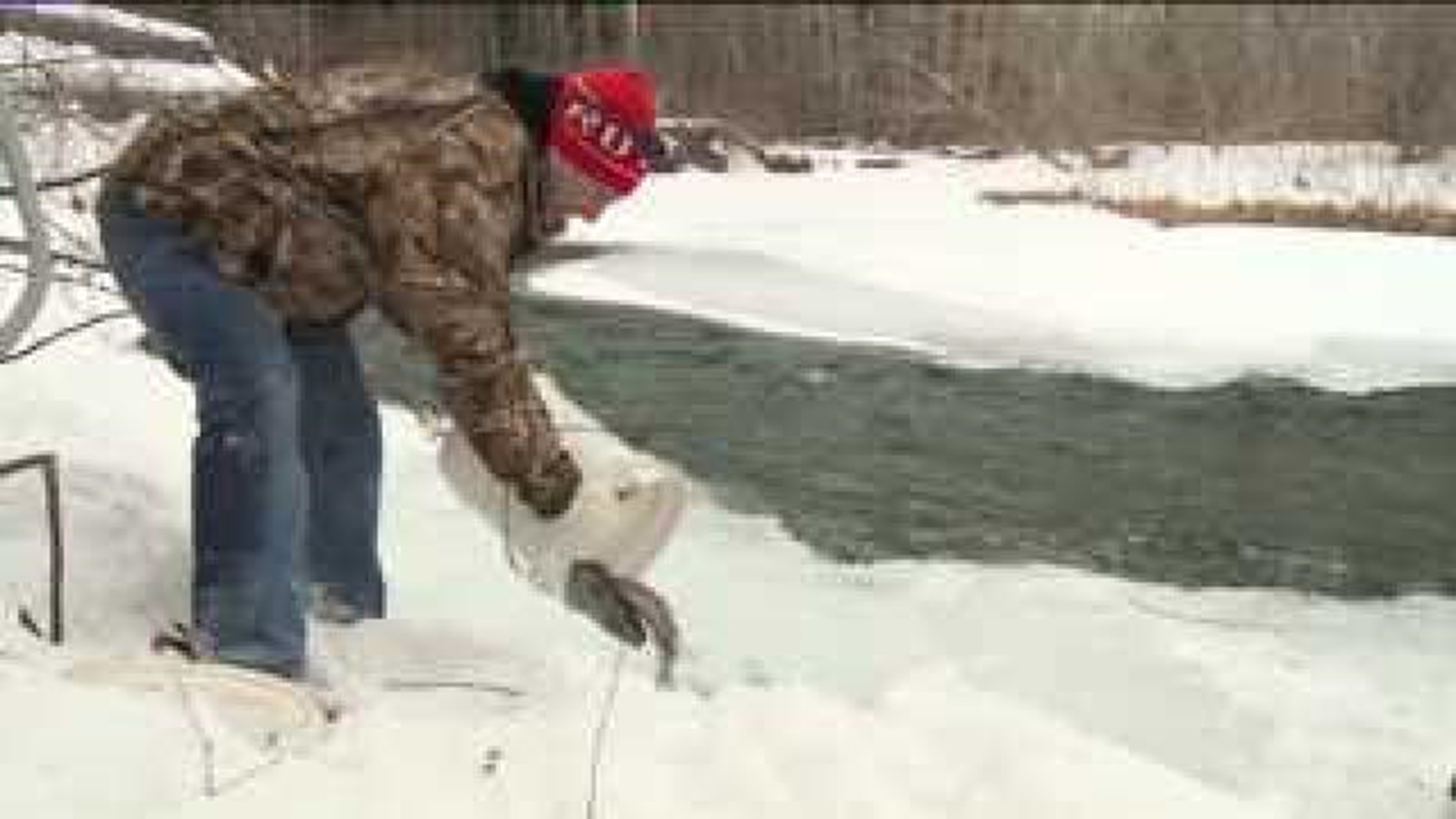 Trout Stocking on Frozen Creeks
