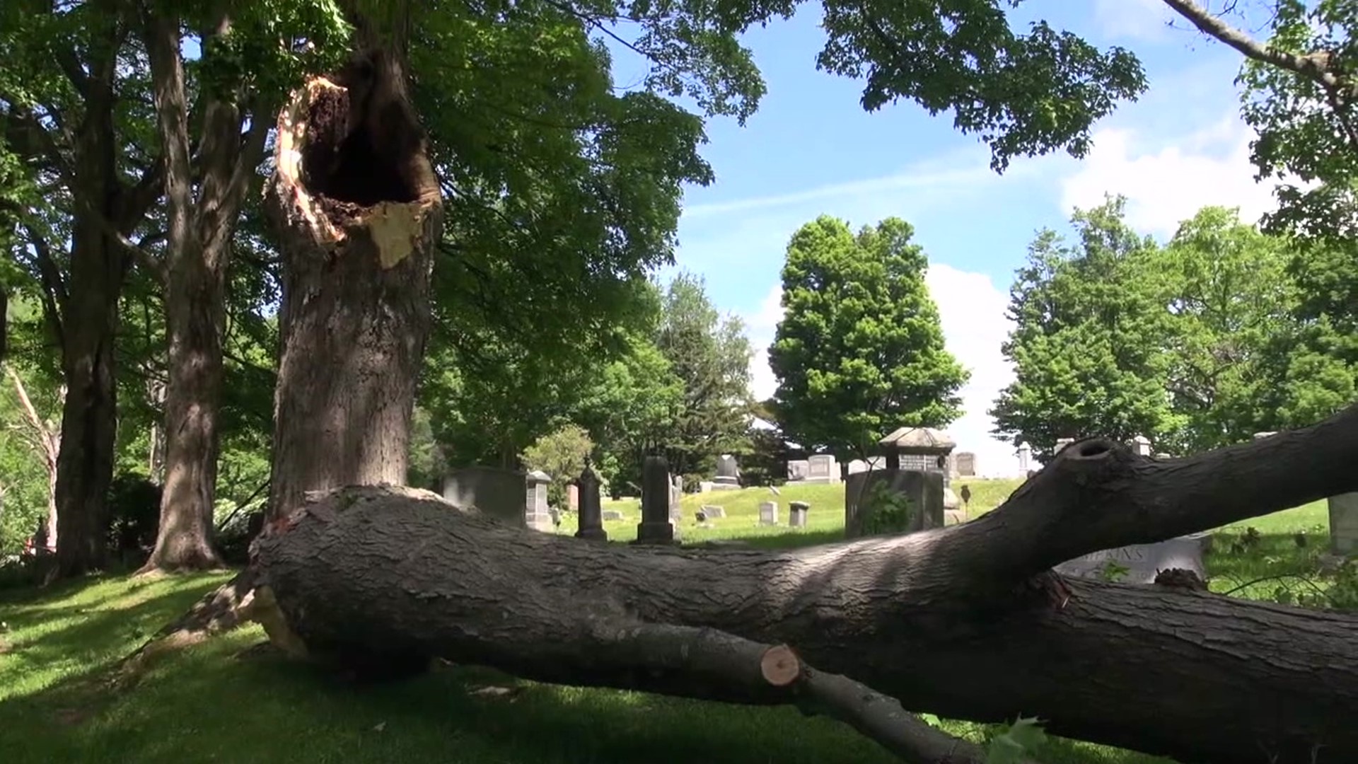 Toppled trees came down at the Rose Hill Cemetery in Hallstead forcing a major cleanup to clear the way for Memorial Day.