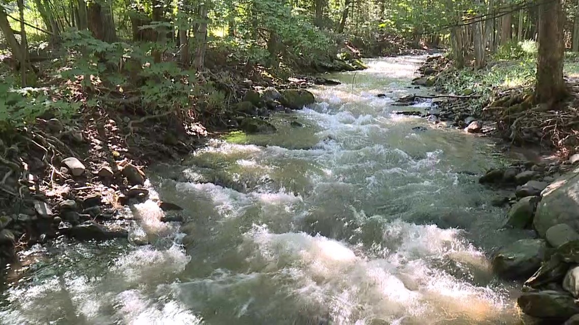 Neighbors concerned about health, water safety after oil spill discovered in Swiftwater Creek - Vimarsana News