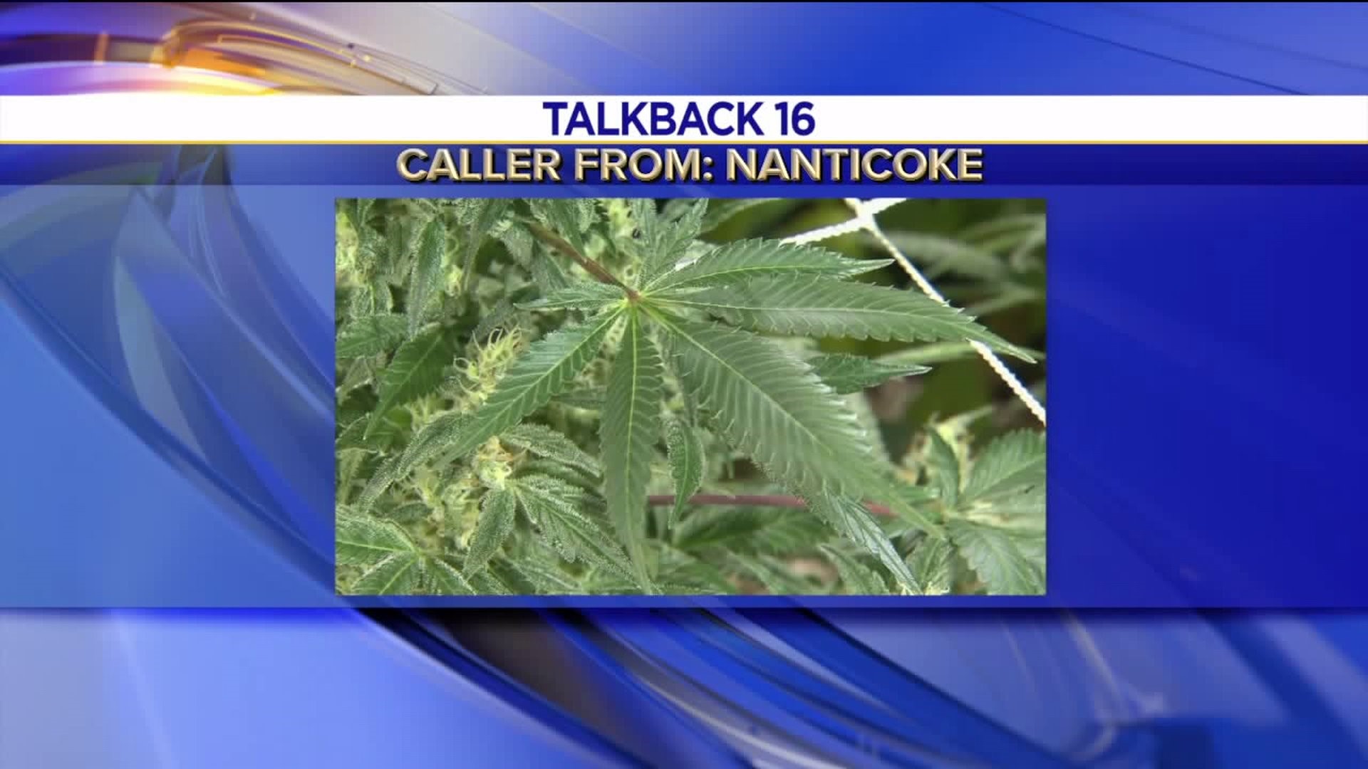 Talkback 16: Recreational Marijuana, New Sidewalks, Super Bowl