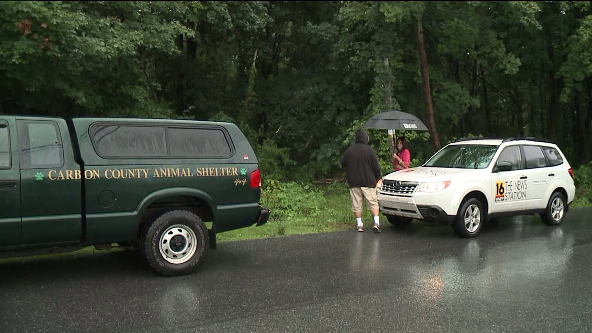 Dead Dog Found Dumped in Trash Bag