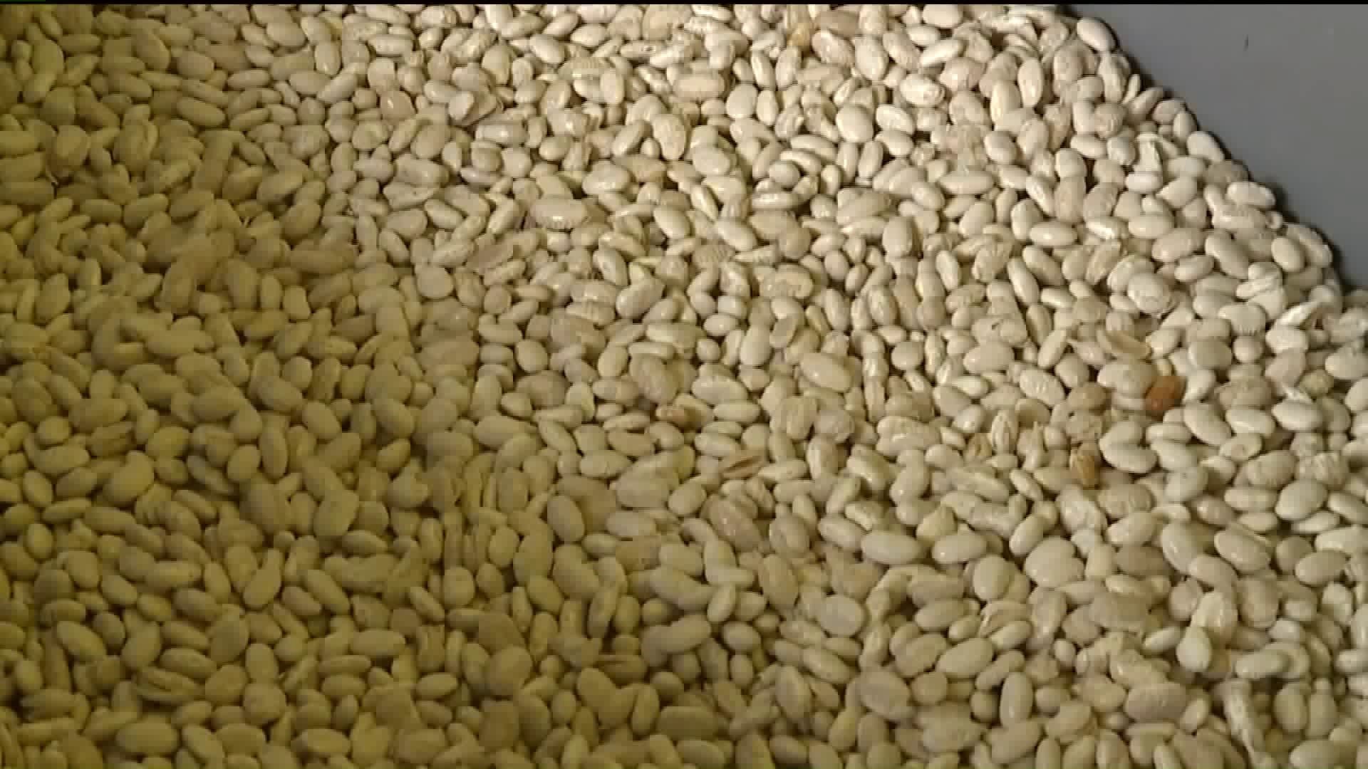 Annual Bean Soup Tradition Continues in McClure