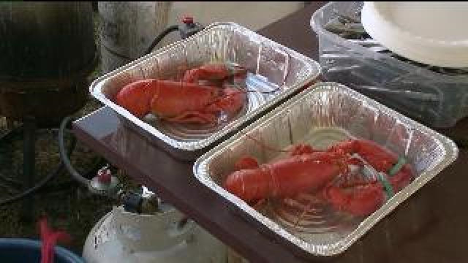 Lobster Lovers Rejoice At The Bloomsburg Fair
