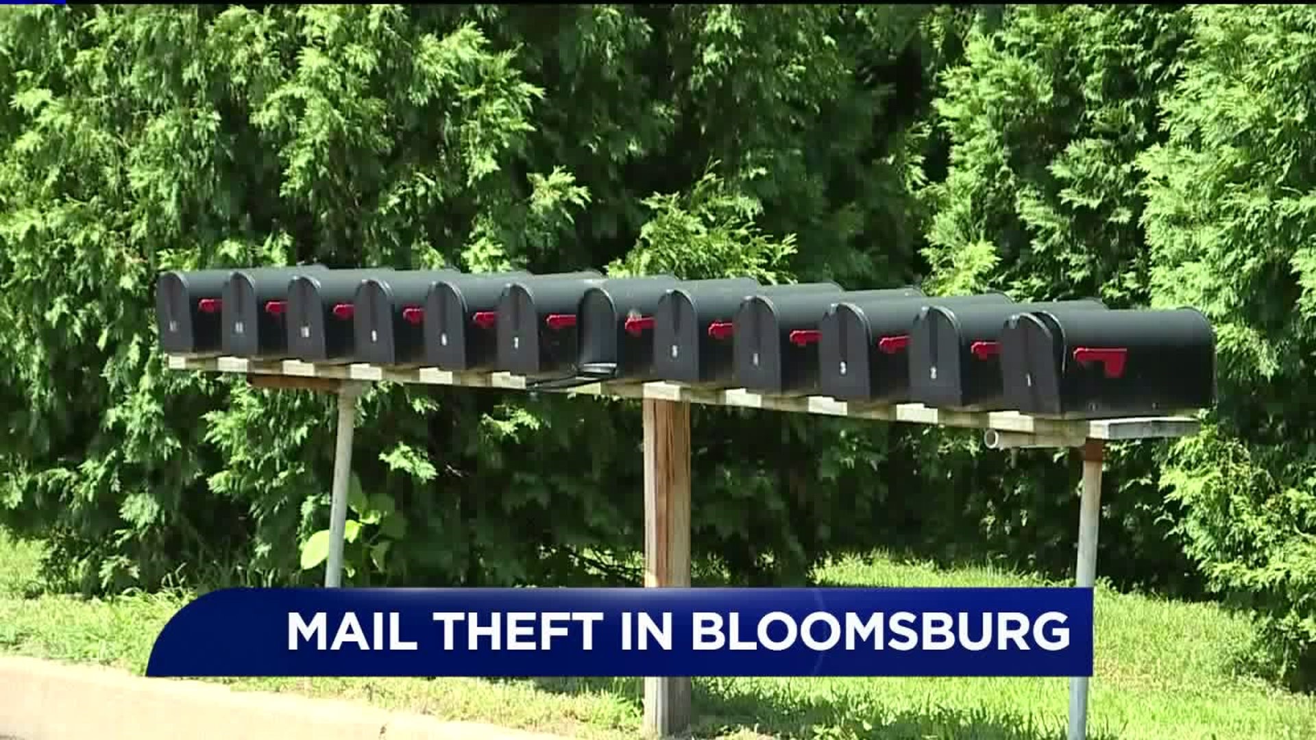 Mail Theft Reported in Columbia County