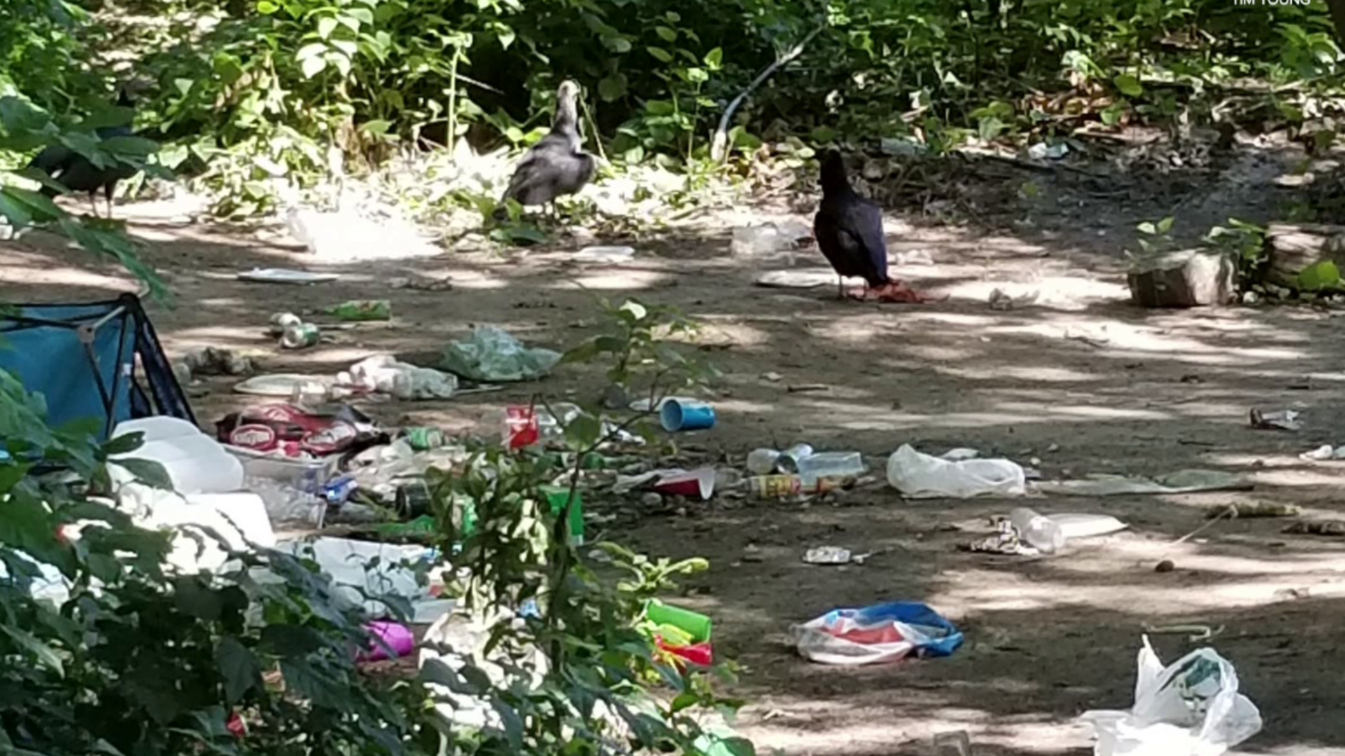 As more people continue to travel to the Poconos, more trash is ending up on trails, waterways, and in parks.