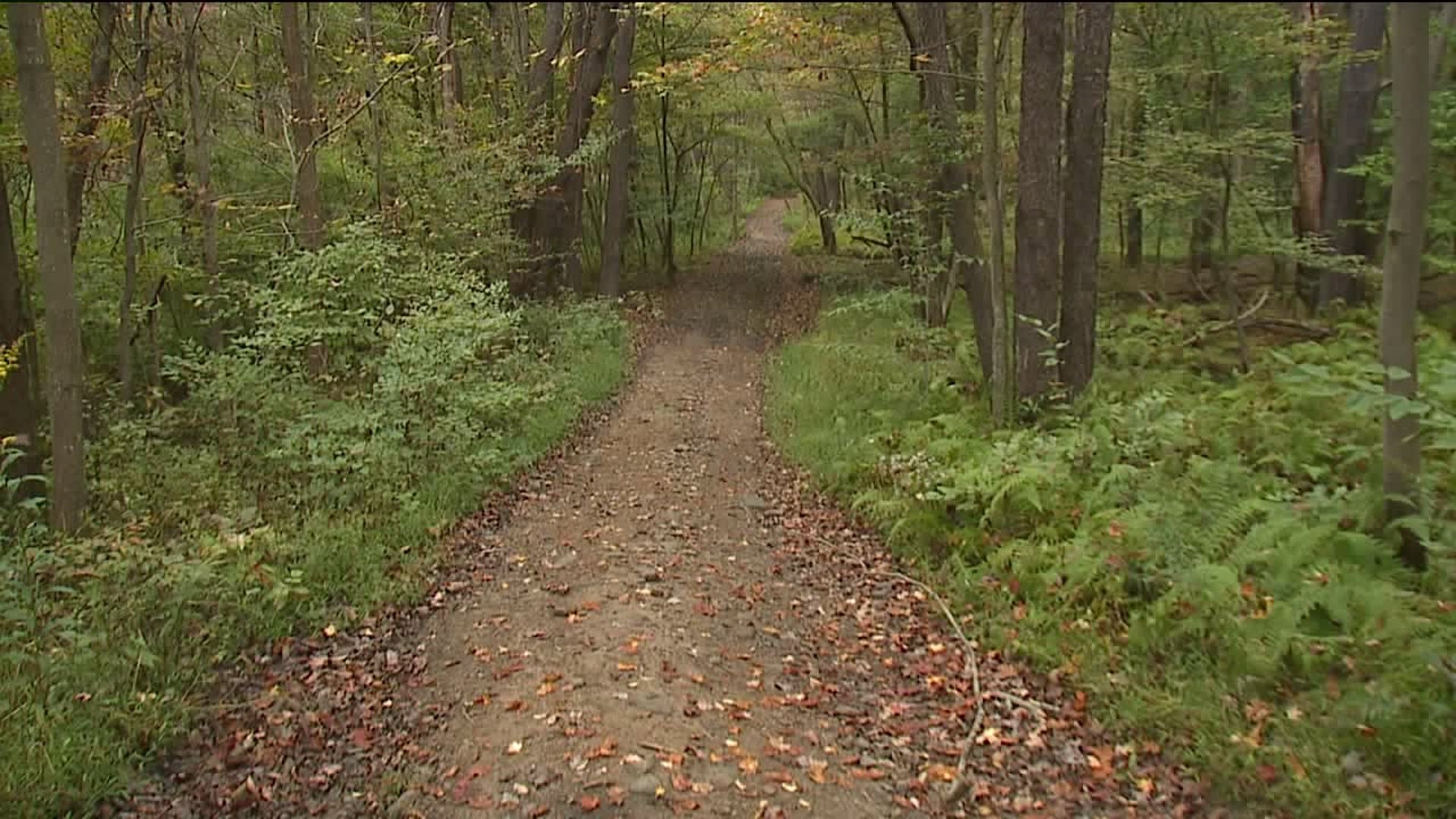 North Pocono Trail Planned for Elmhurst Township
