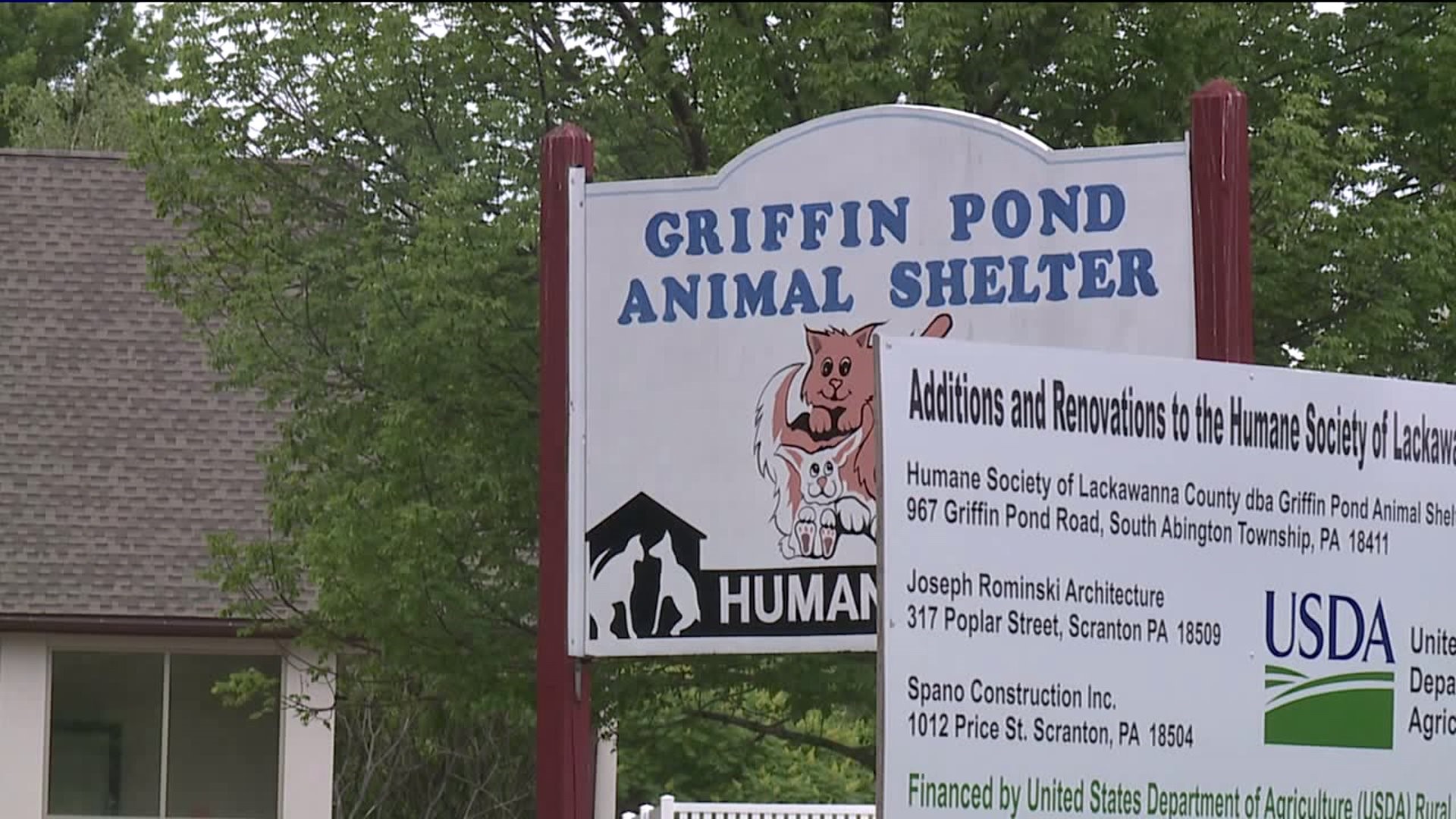 Griffin Pond Animal Shelter Closed After Viral Outbreak Among Cats